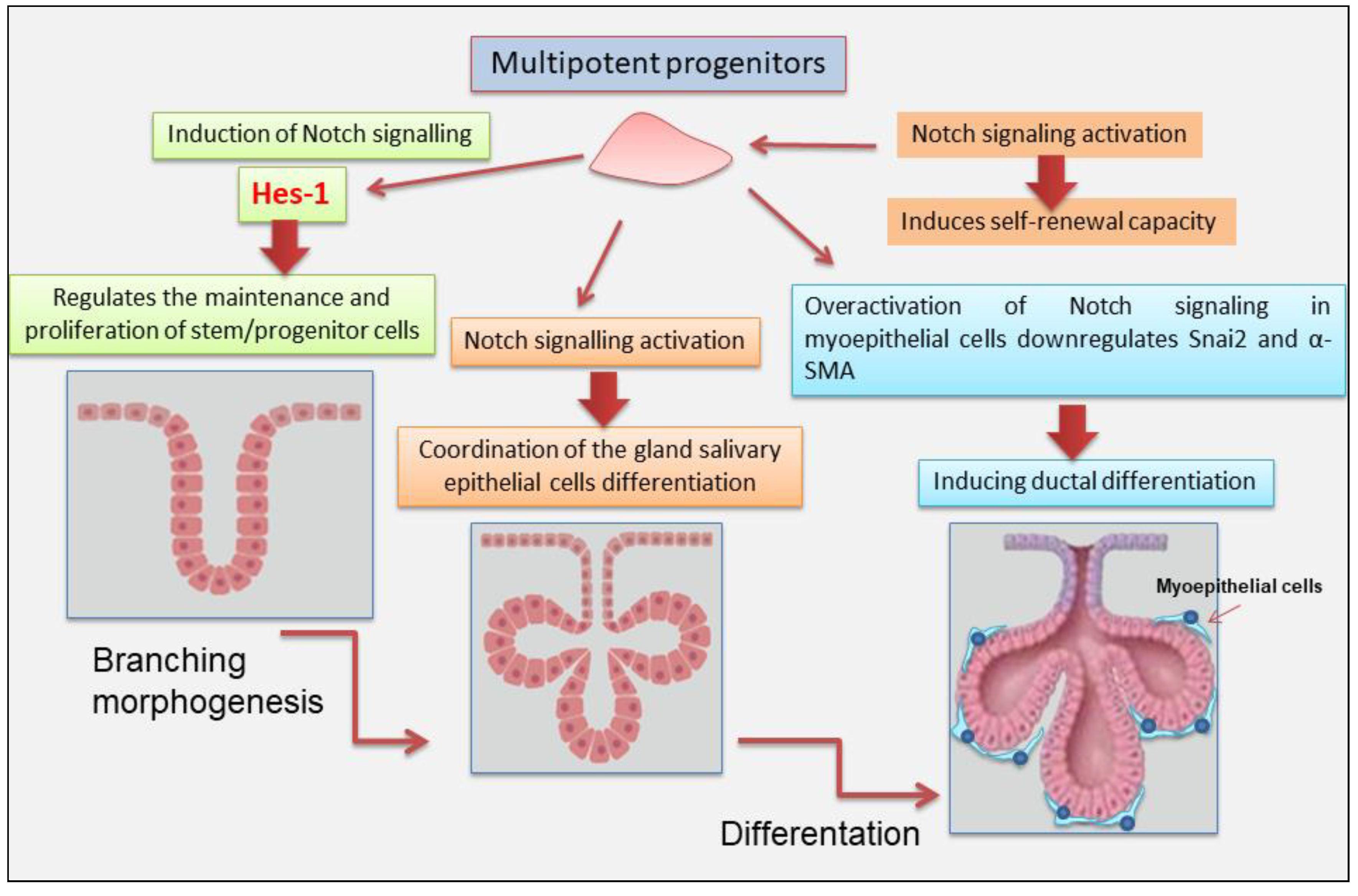Preprints 154299 g003