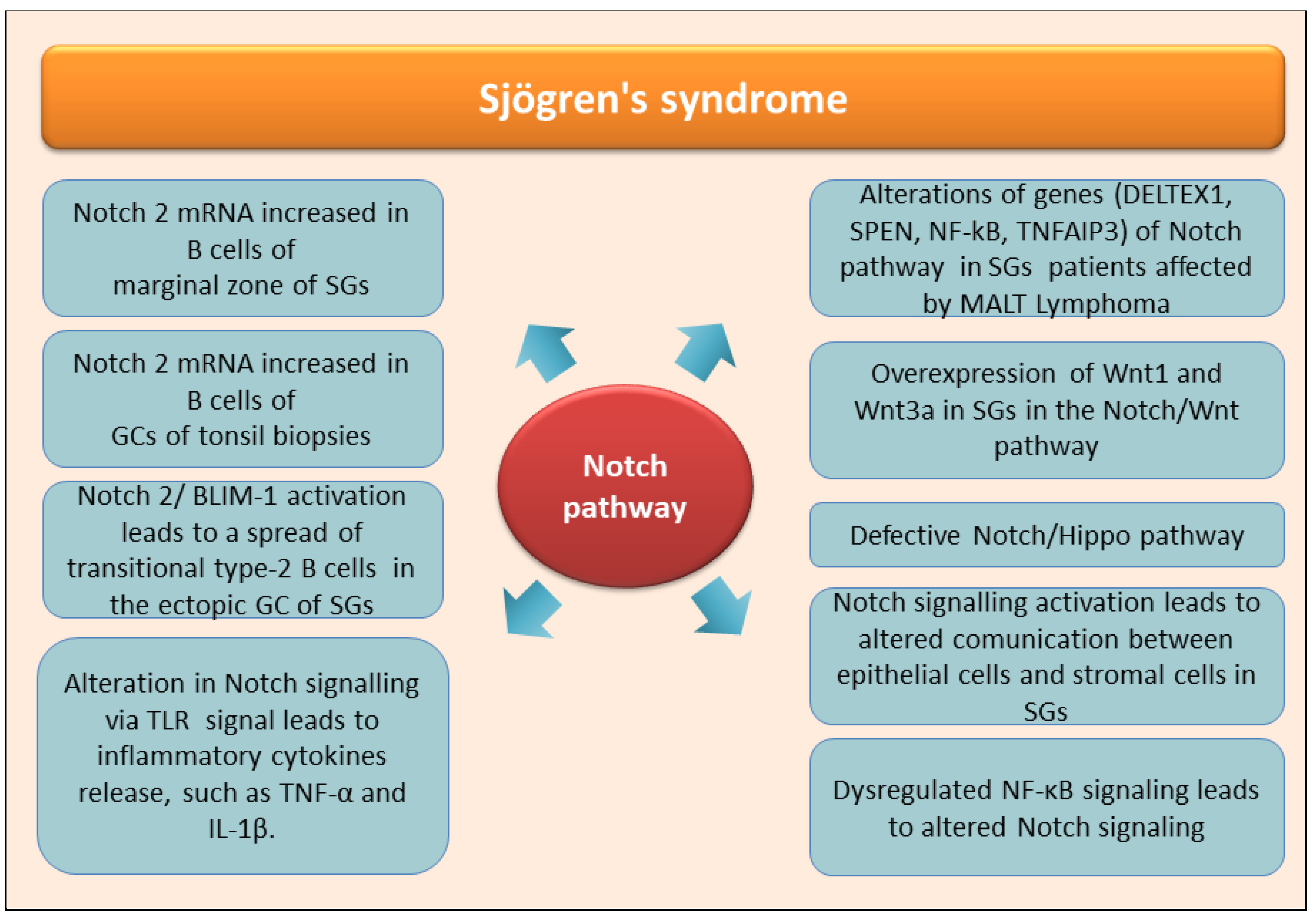 Preprints 154299 g004