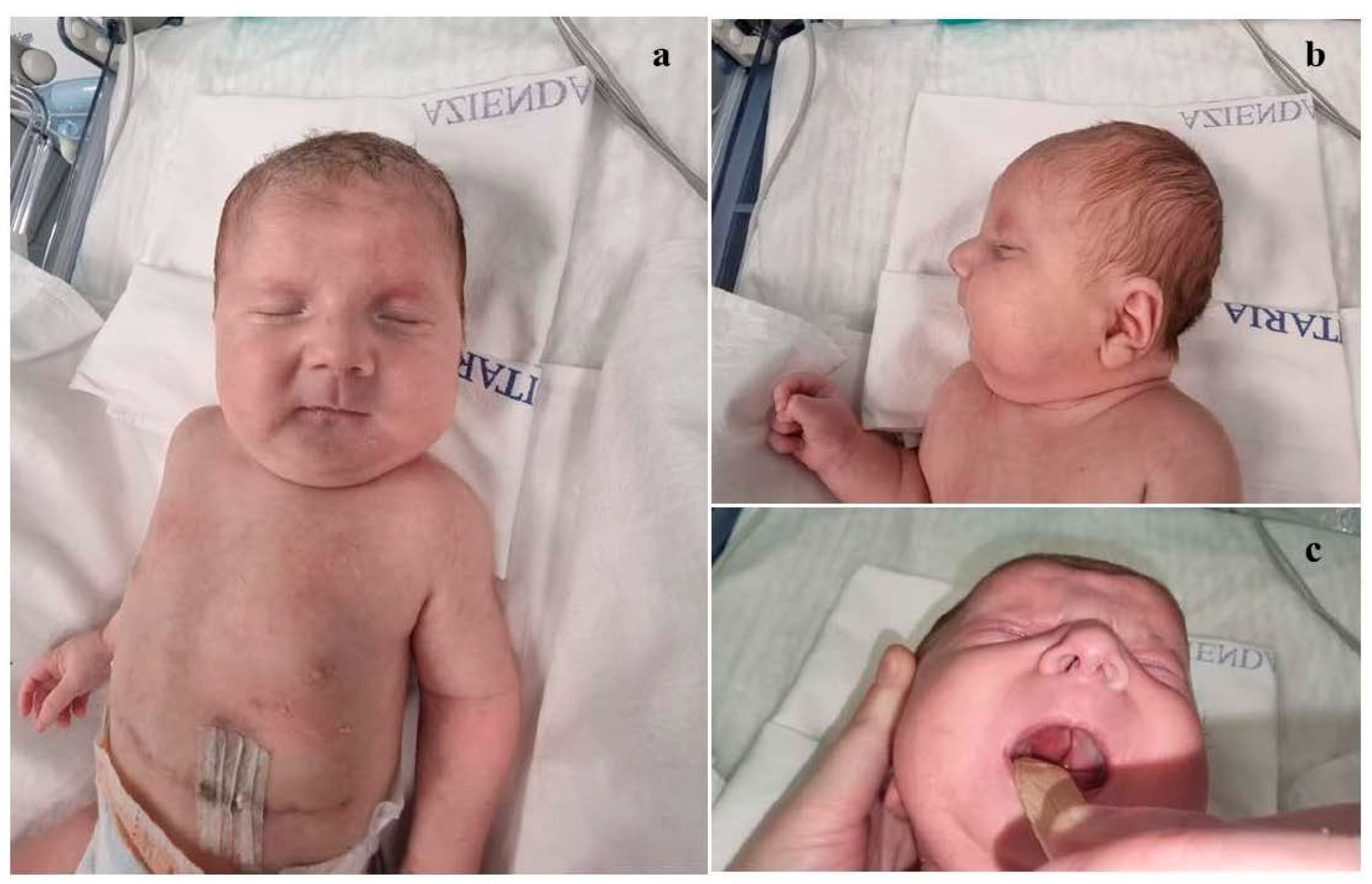 Preprints 146129 g001