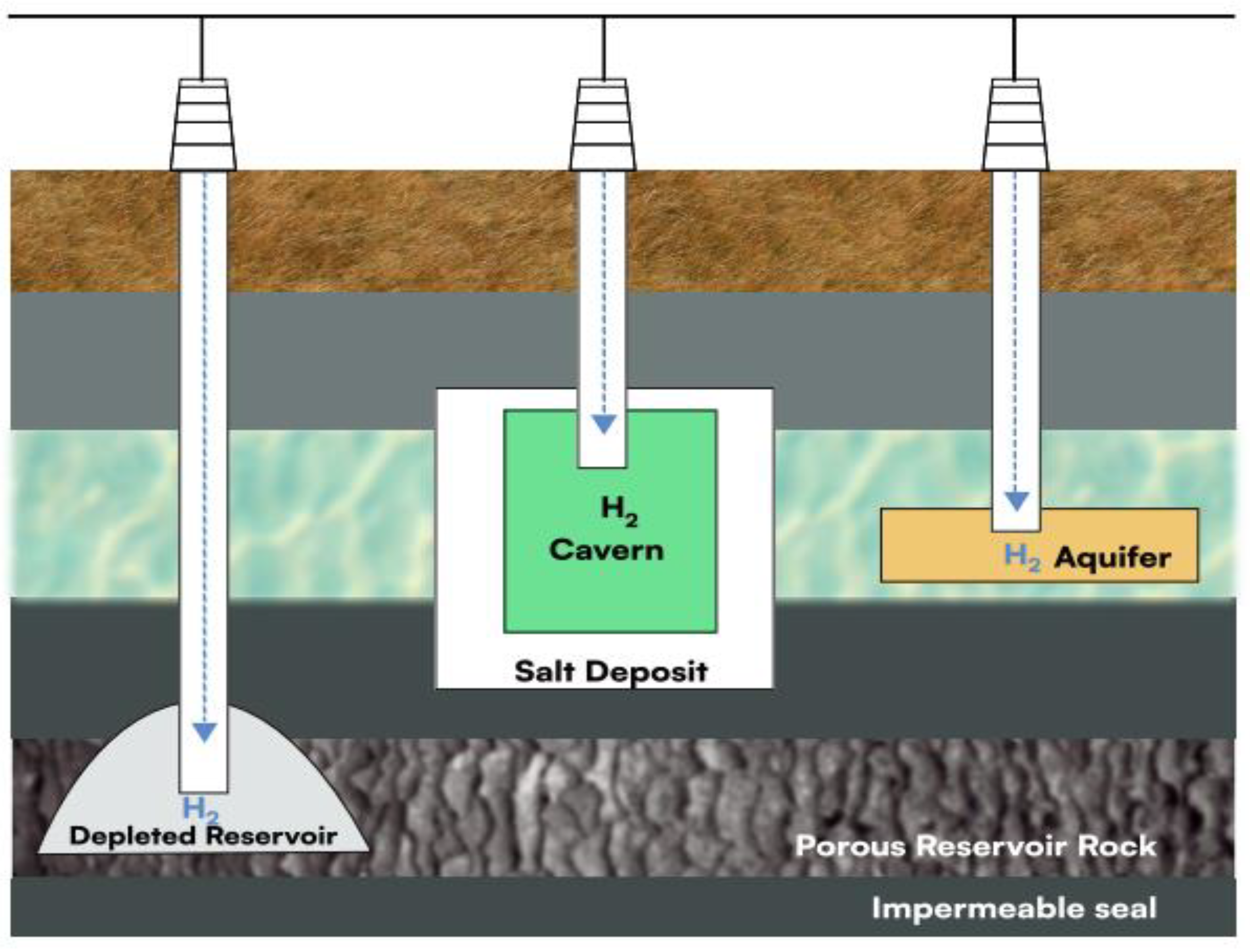 Preprints 144916 g004