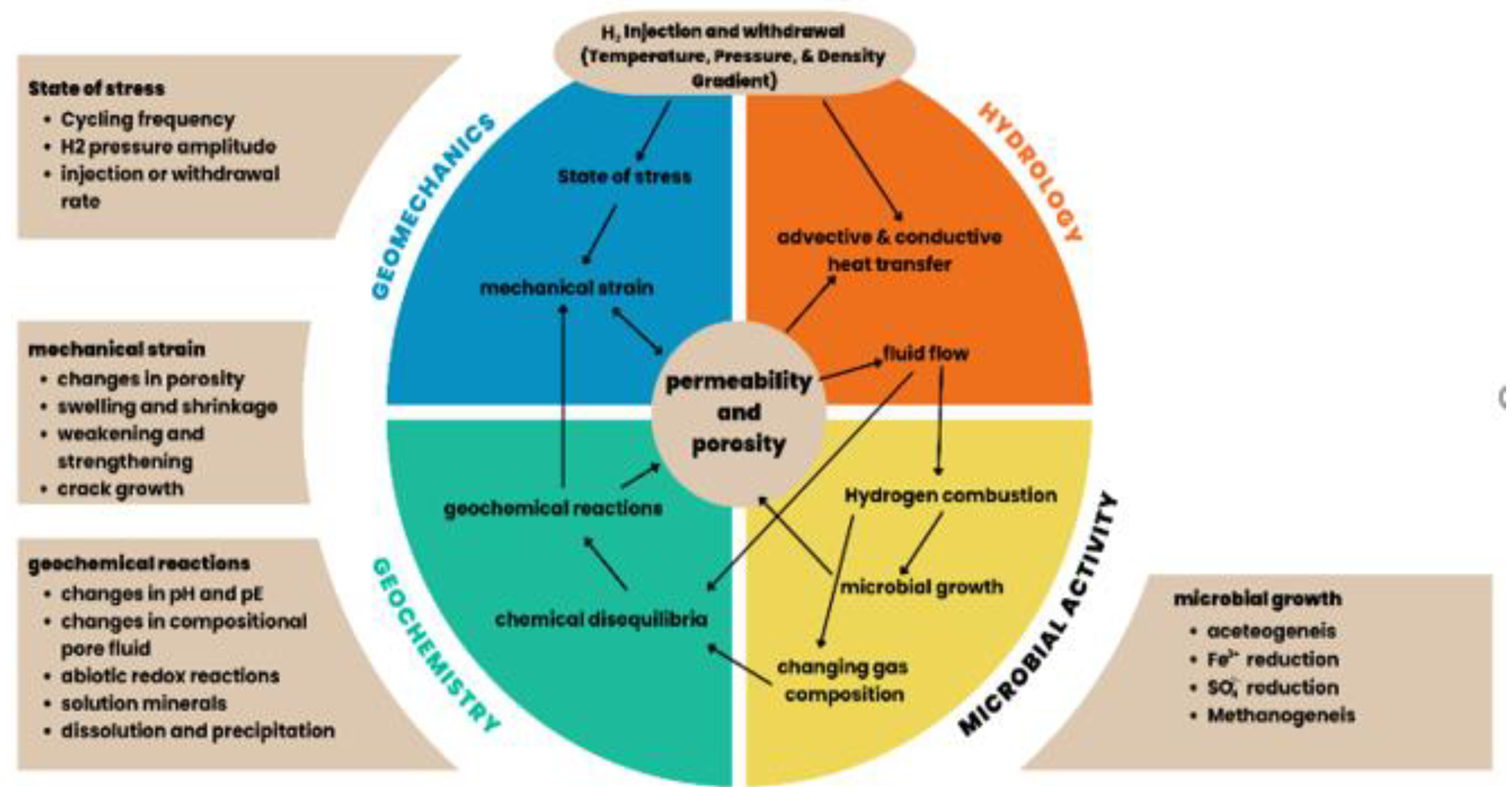 Preprints 144916 g005