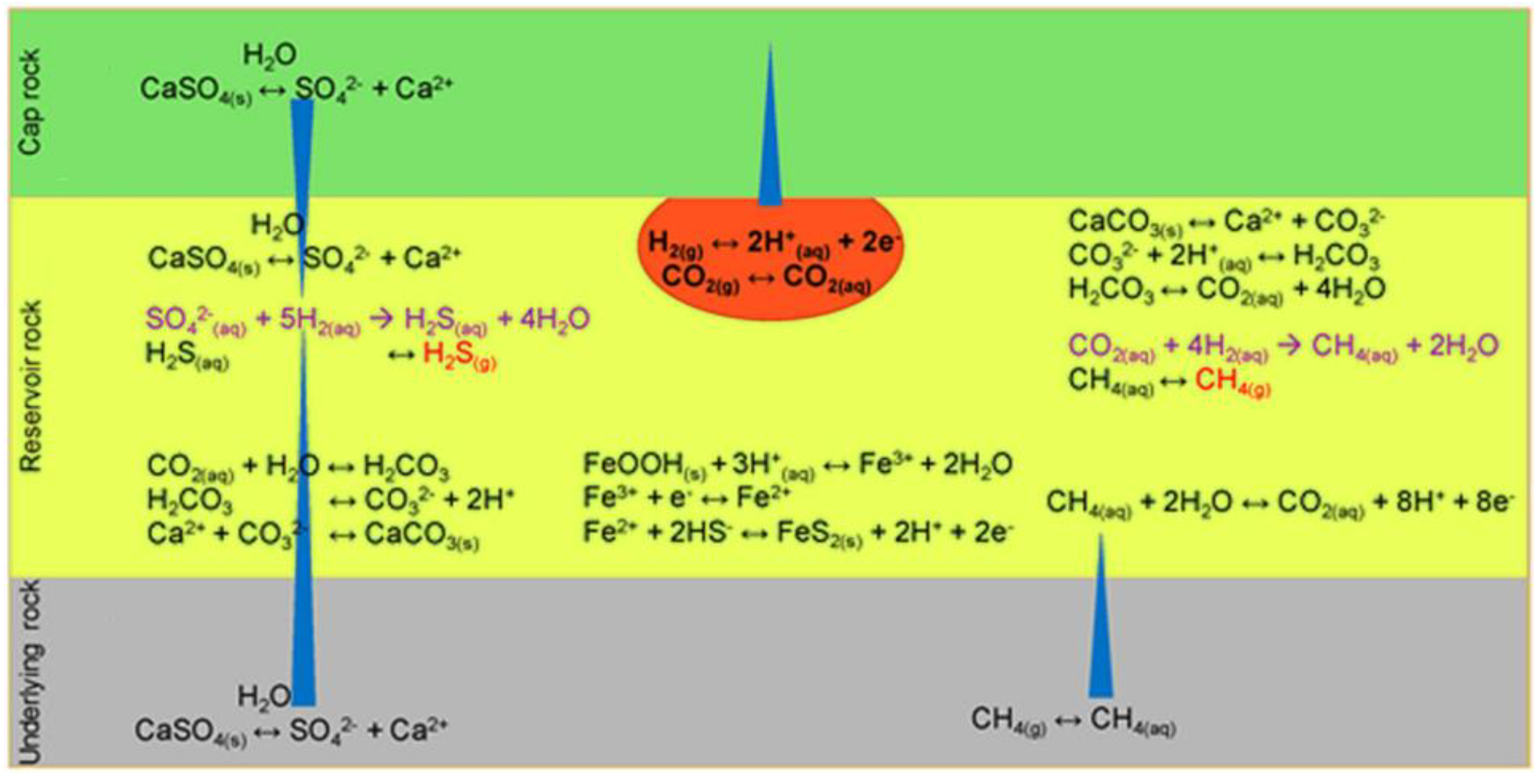 Preprints 144916 g006