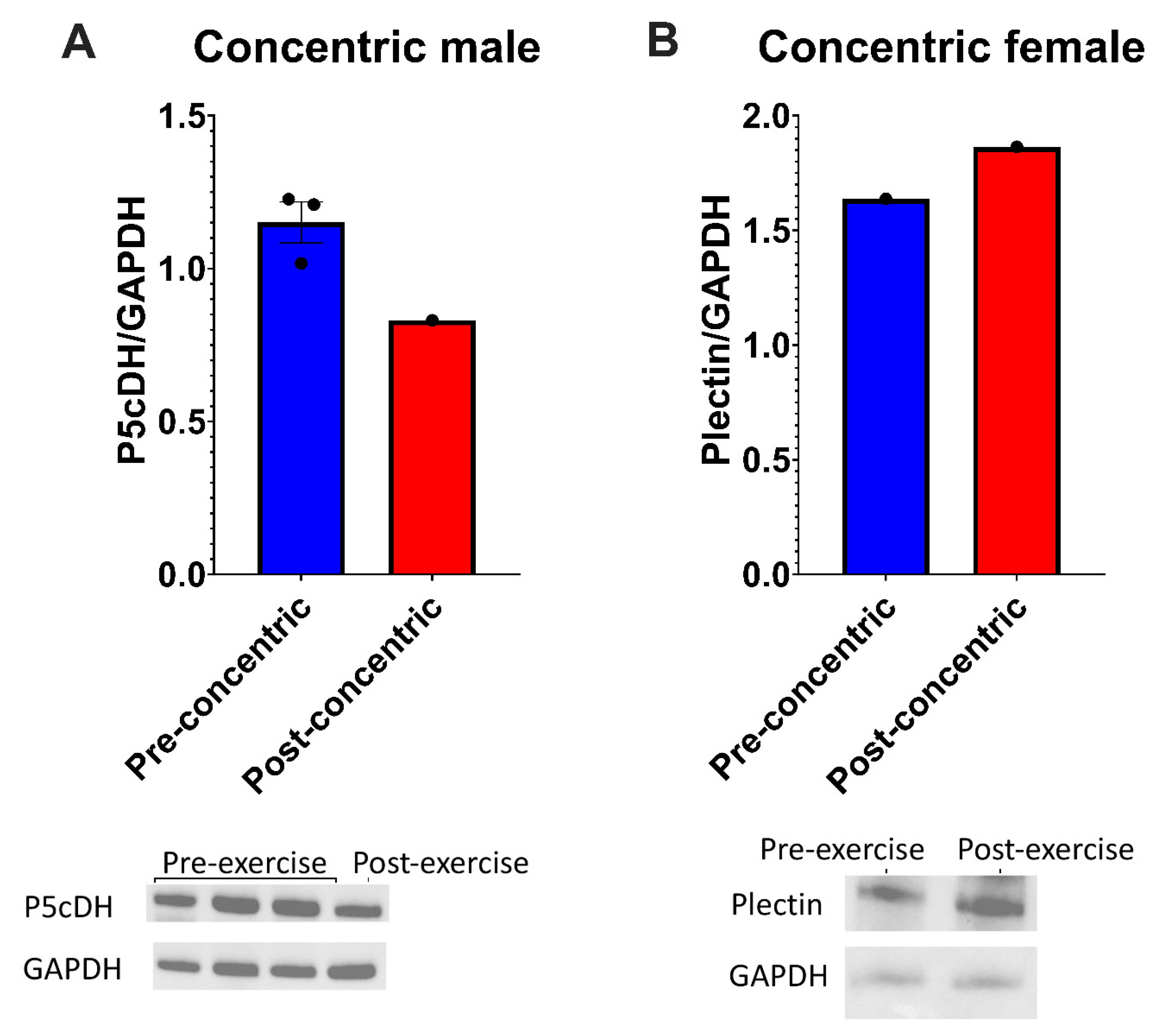Preprints 170234 g003