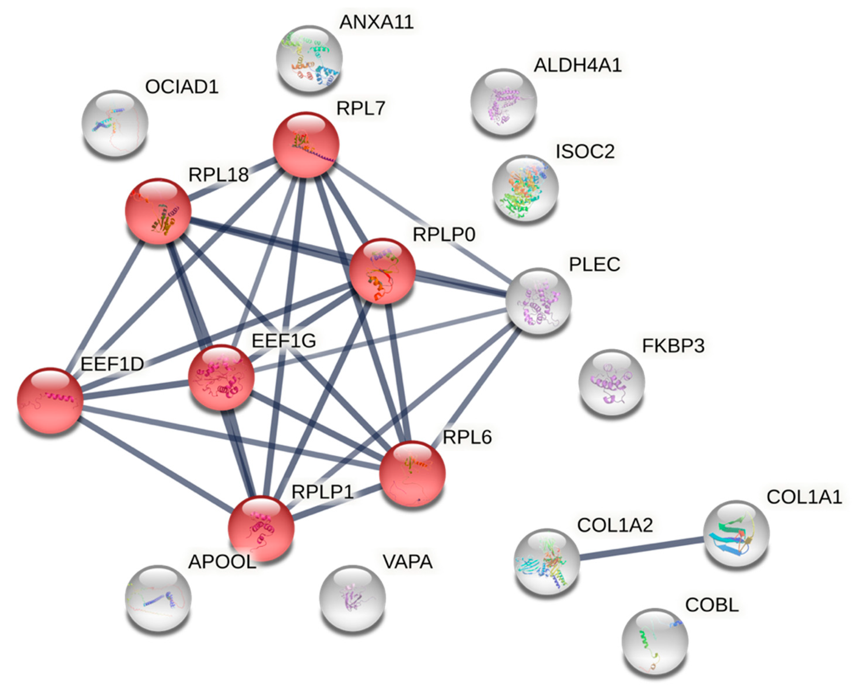 Preprints 170234 g005