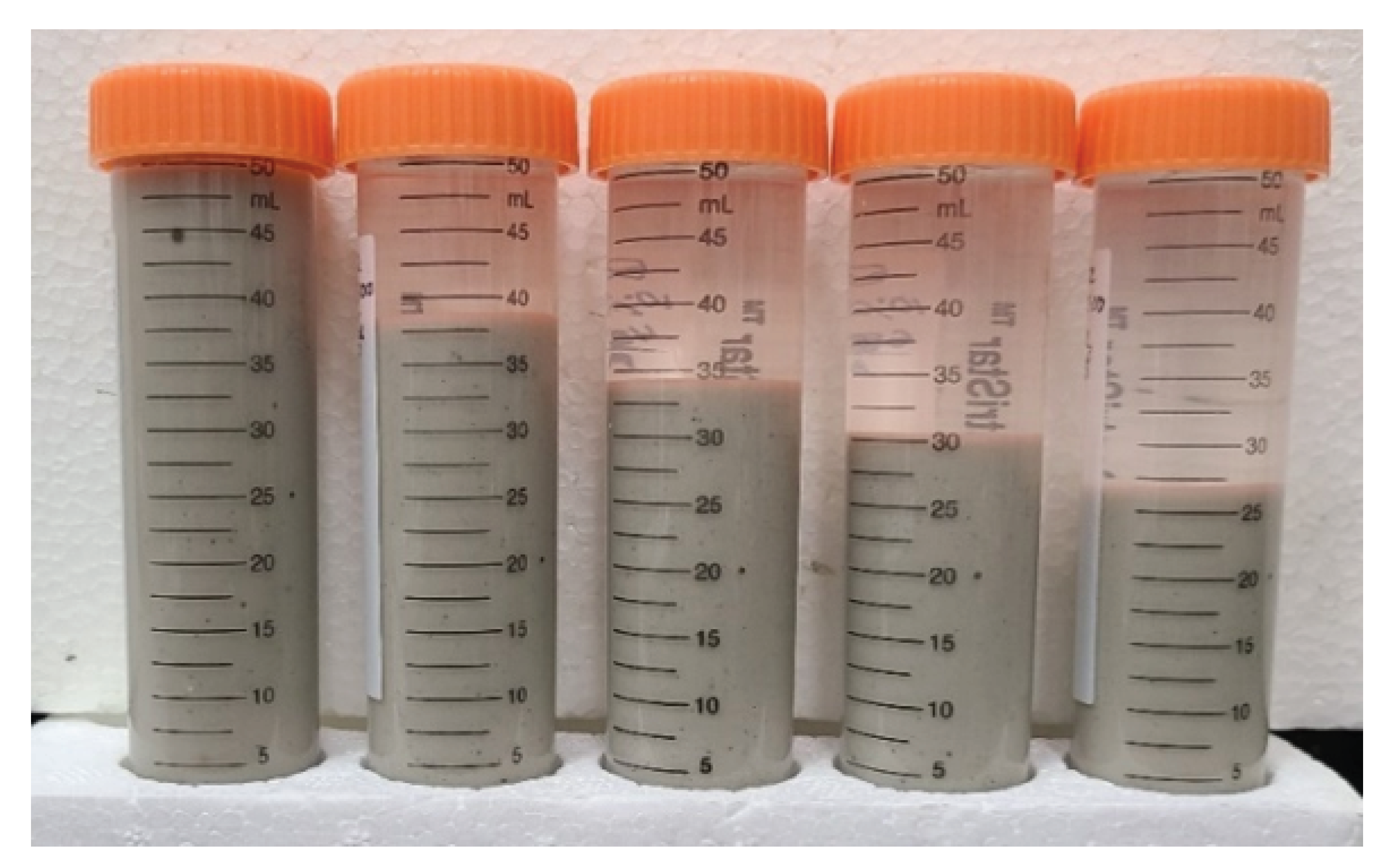 Preprints 175040 g005