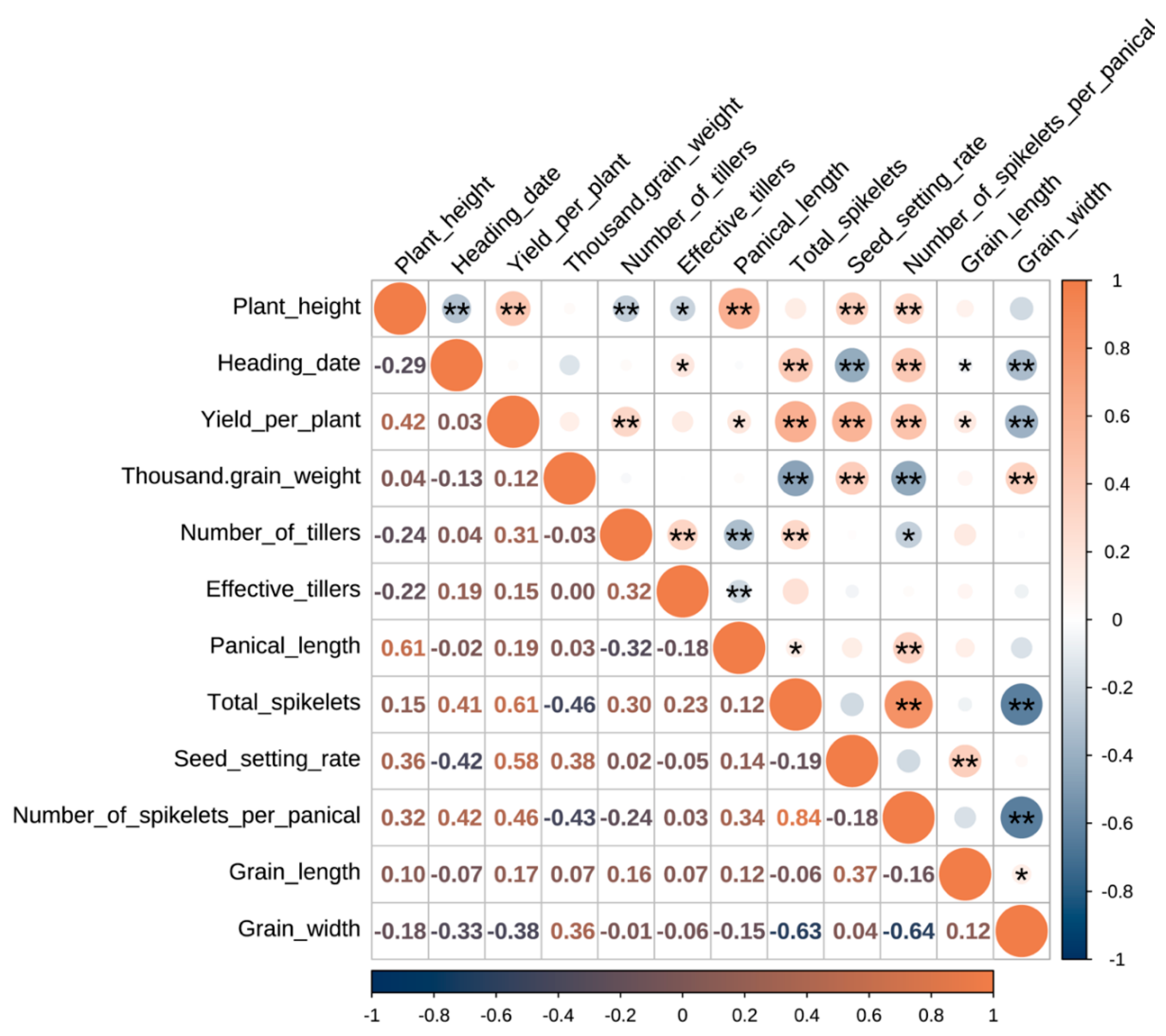 Genetic Diversity Analysis and Core Marker Identification of