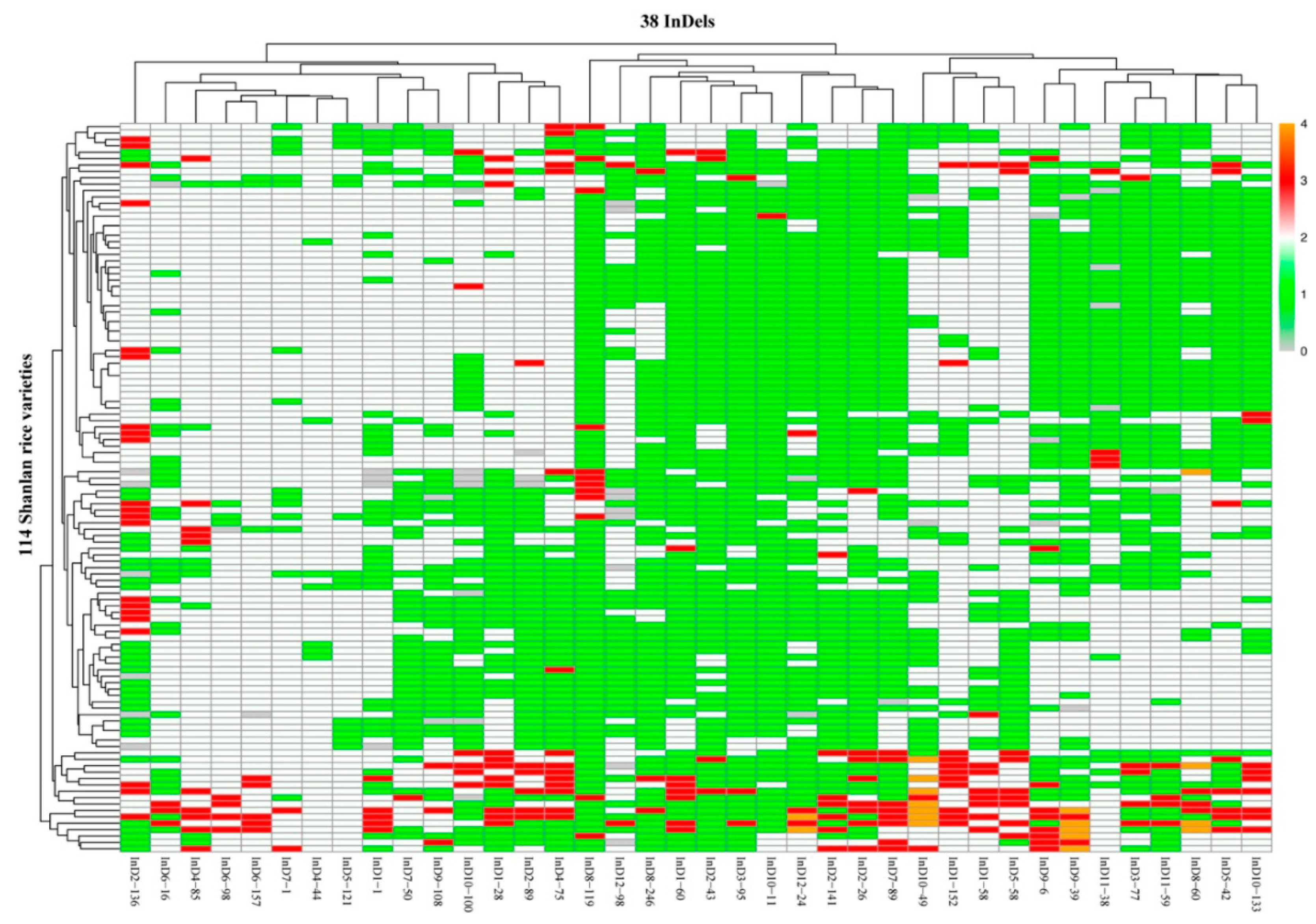 Genetic Diversity Analysis and Core Marker Identification of