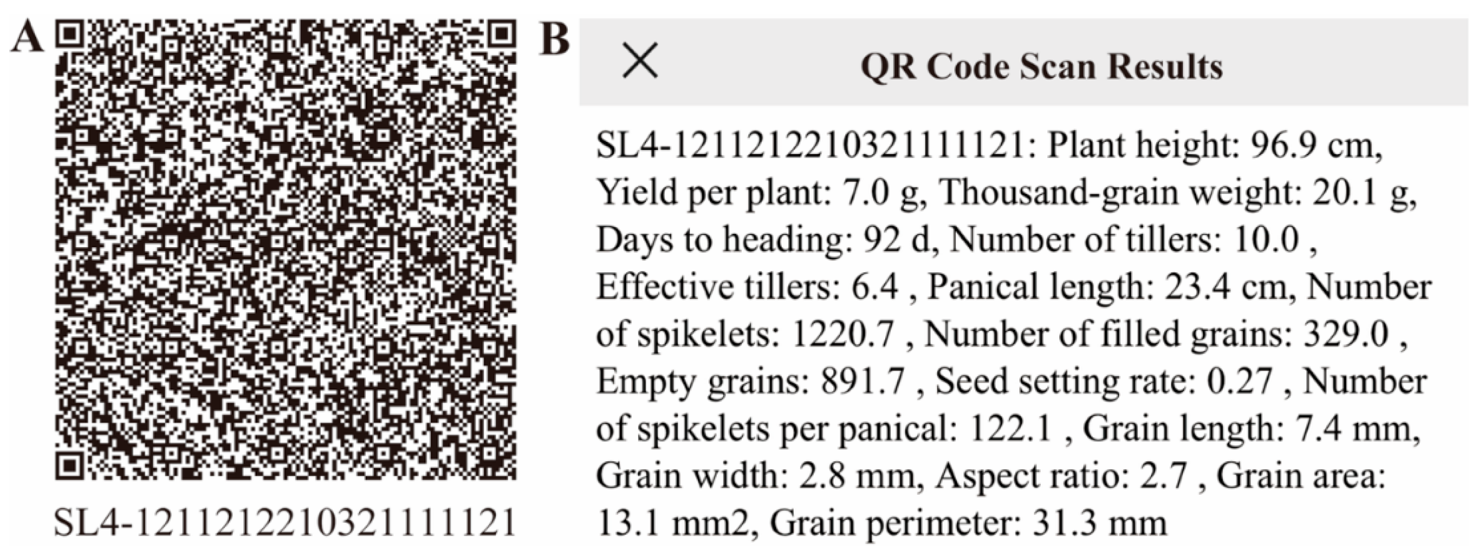 Preprints 184175 g006
