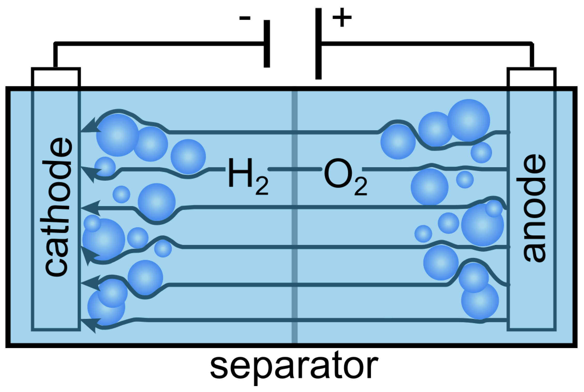 Preprints 96019 g001