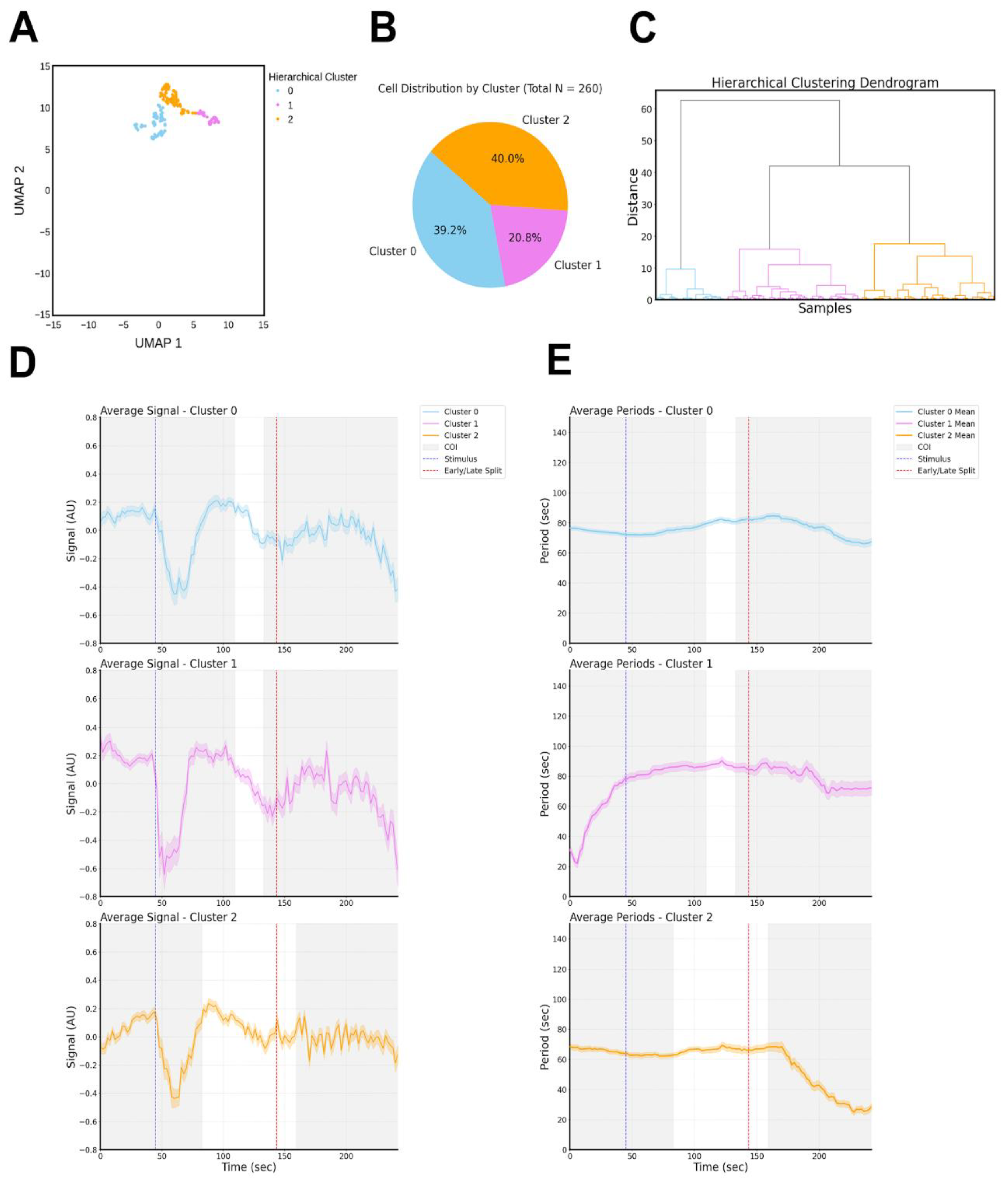 Preprints 226273 g003 Preprints 226273 g003
