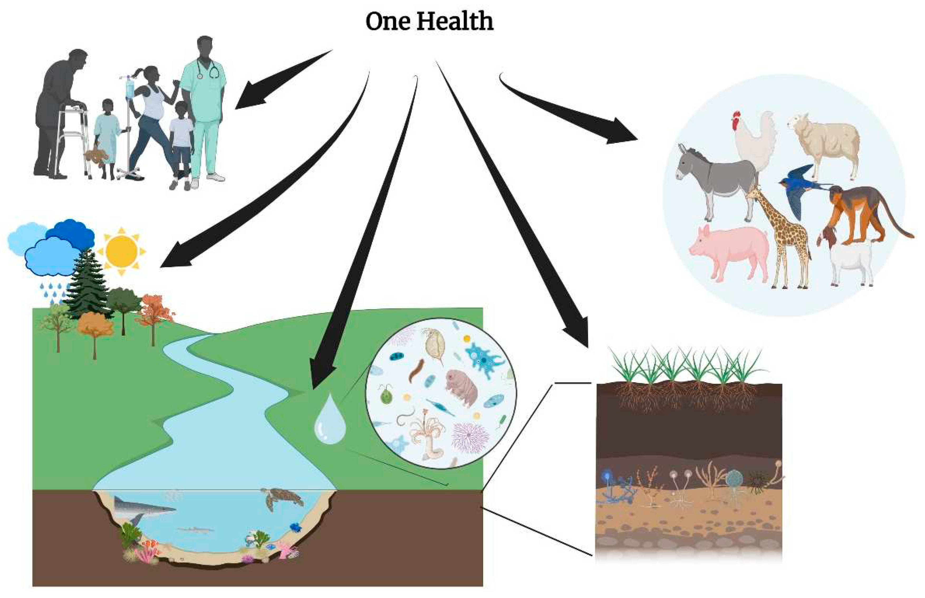 Preprints 90225 g001