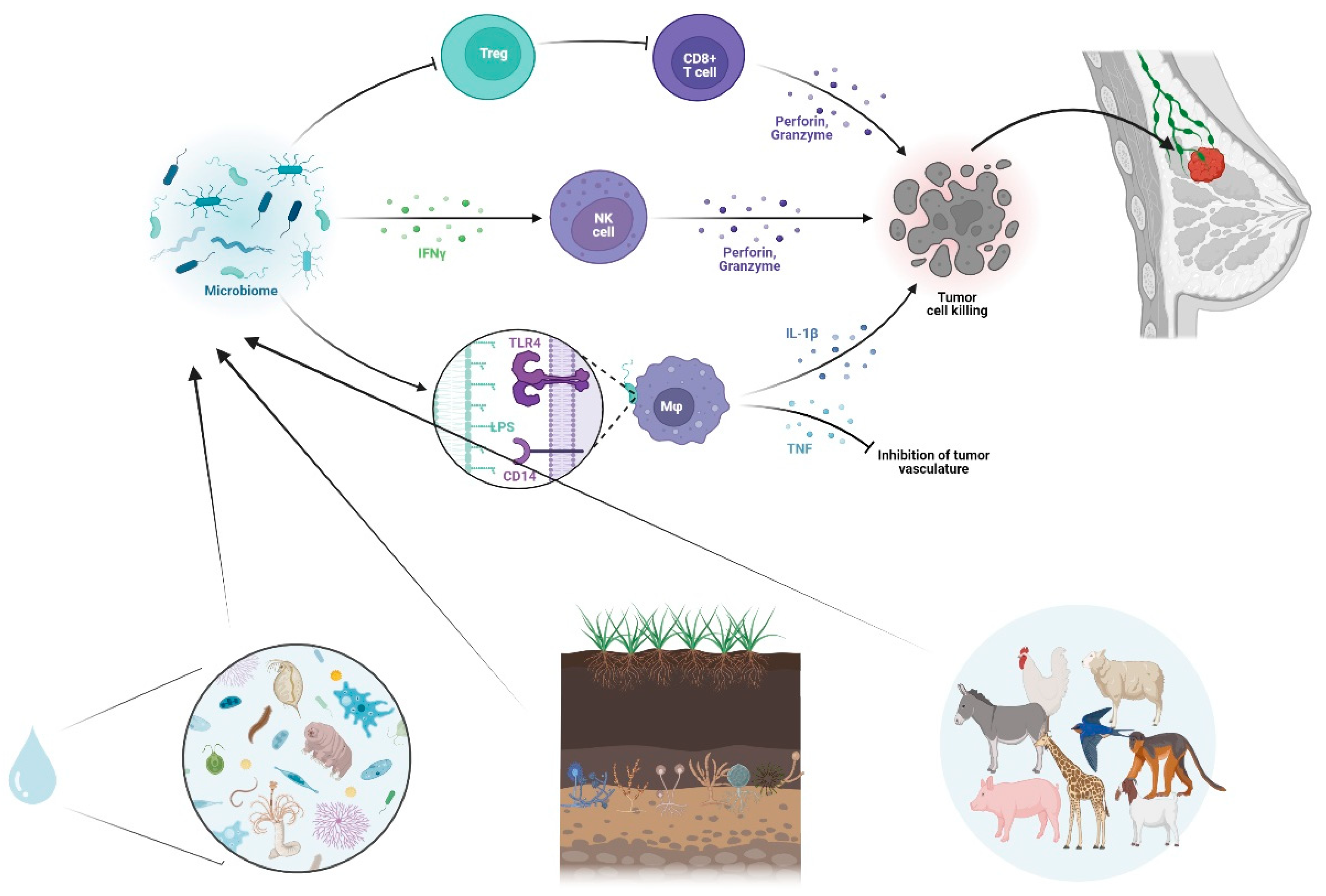 Preprints 90225 g002