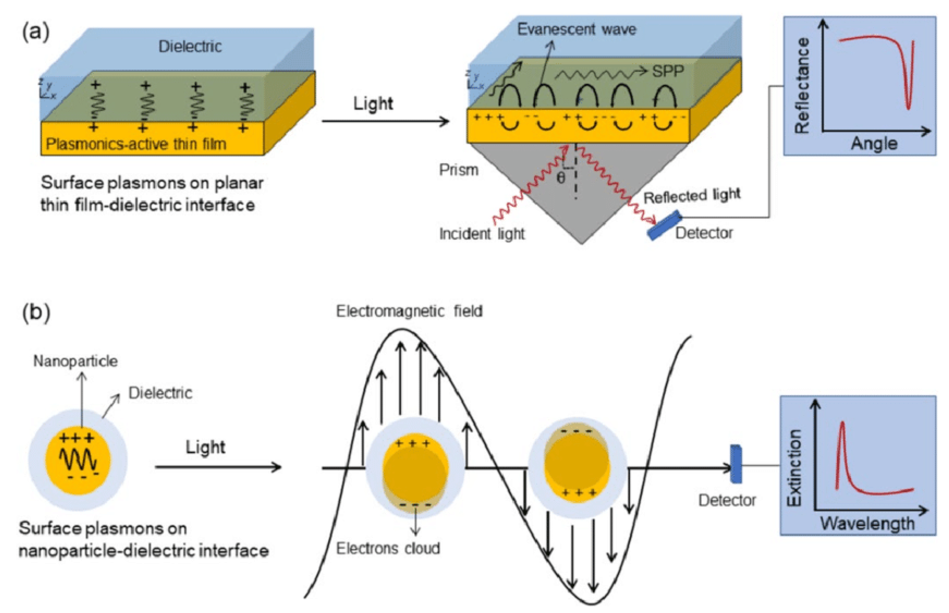 Preprints 168001 g002