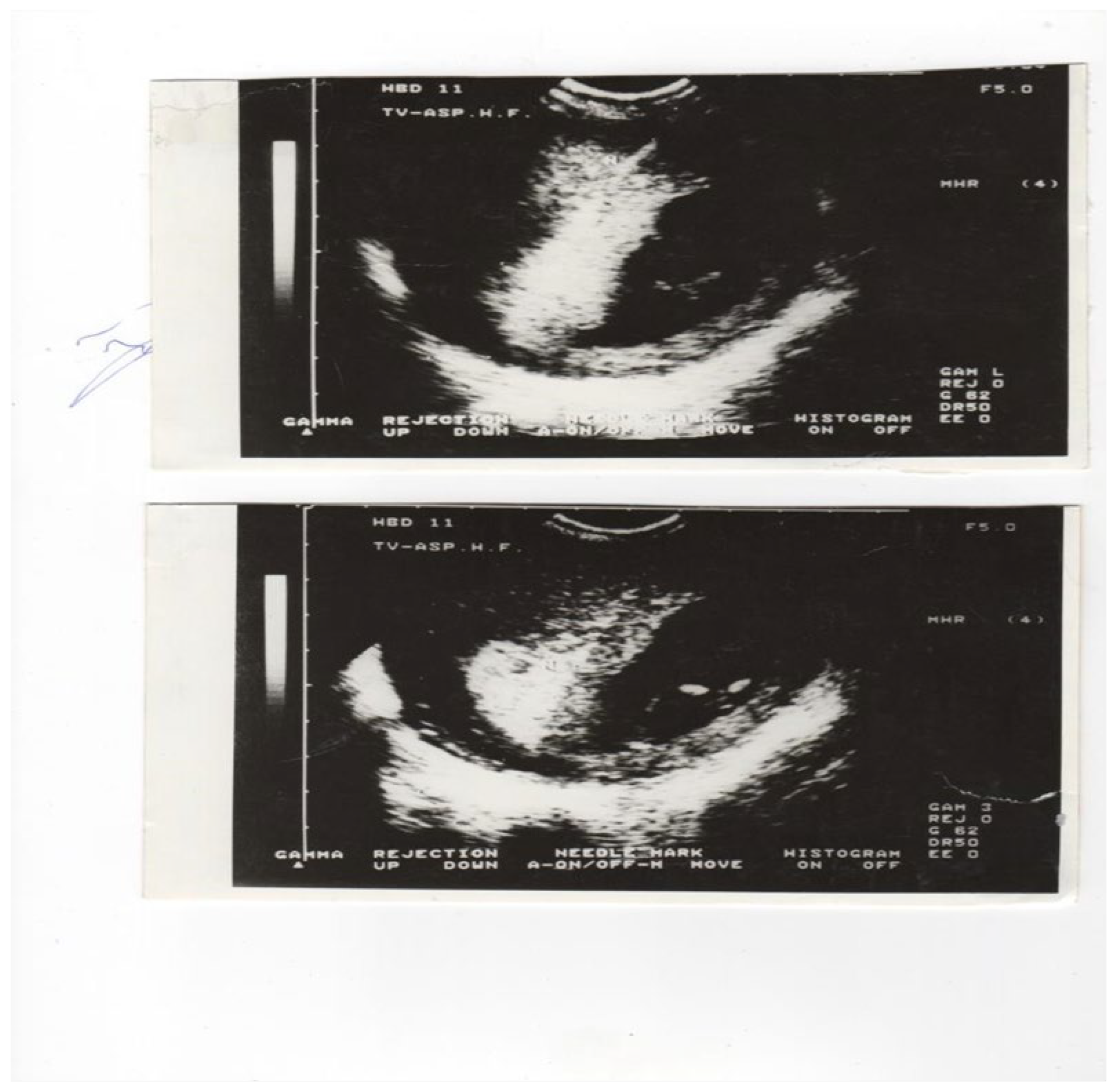 Preprints 174797 g001