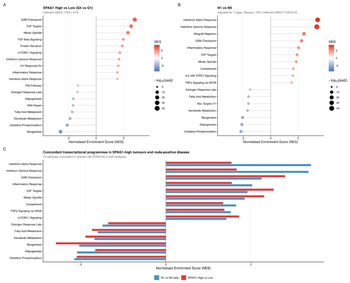 Preprints 218090 g003 Preprints 218090 g003