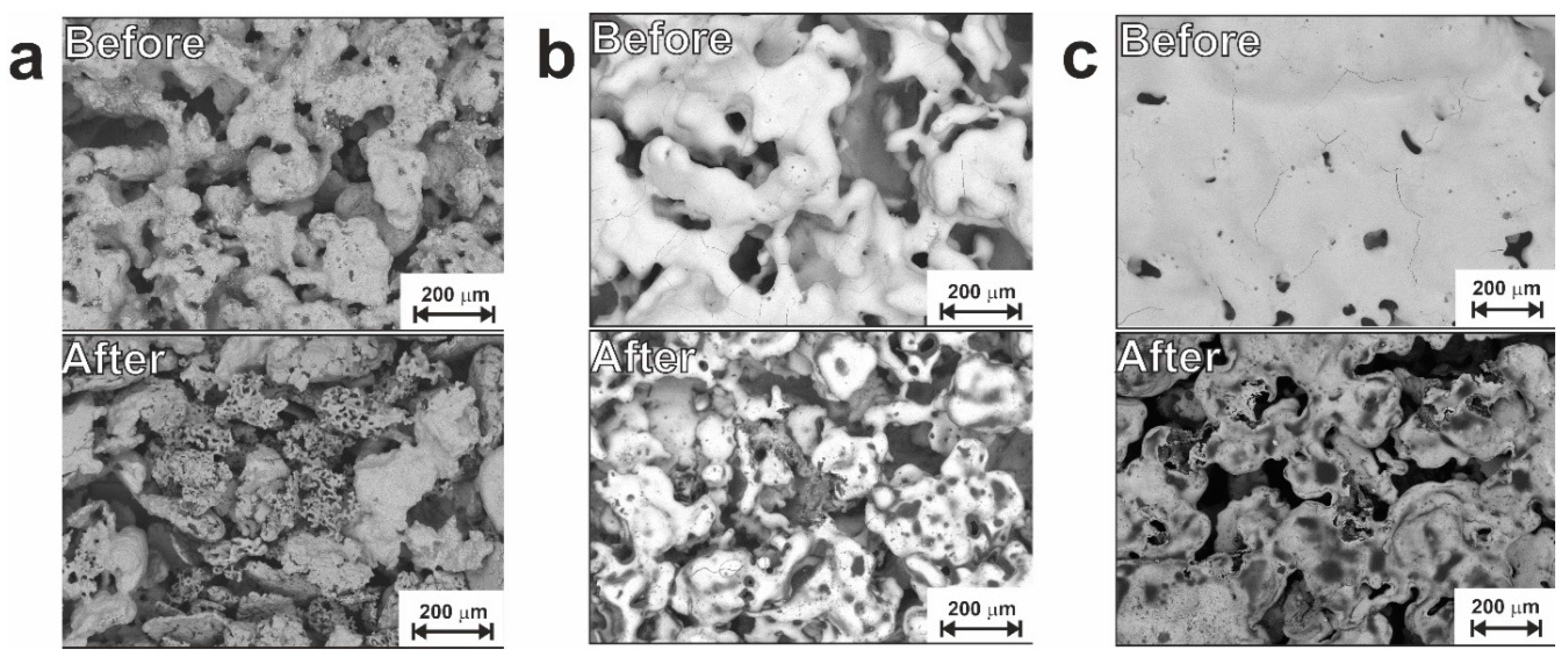 Preprints 71671 g006