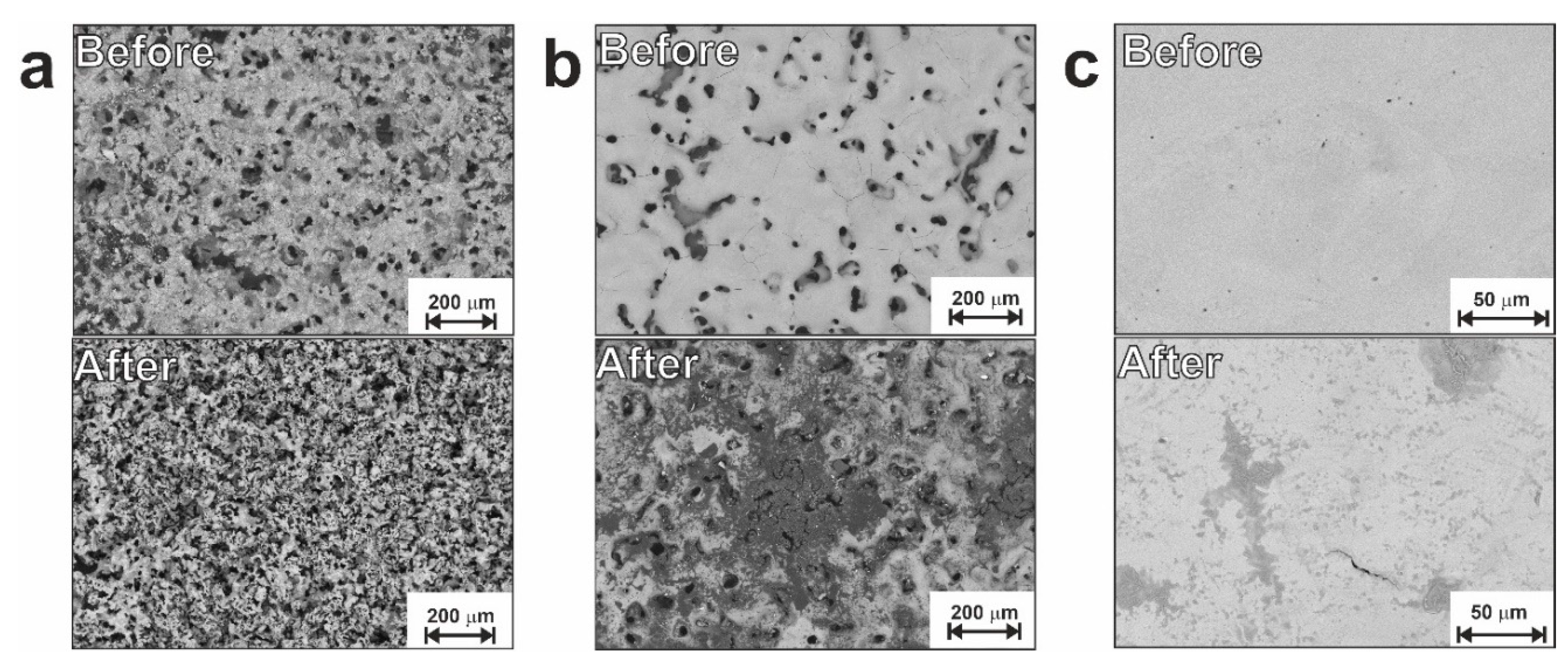 Preprints 71671 g007