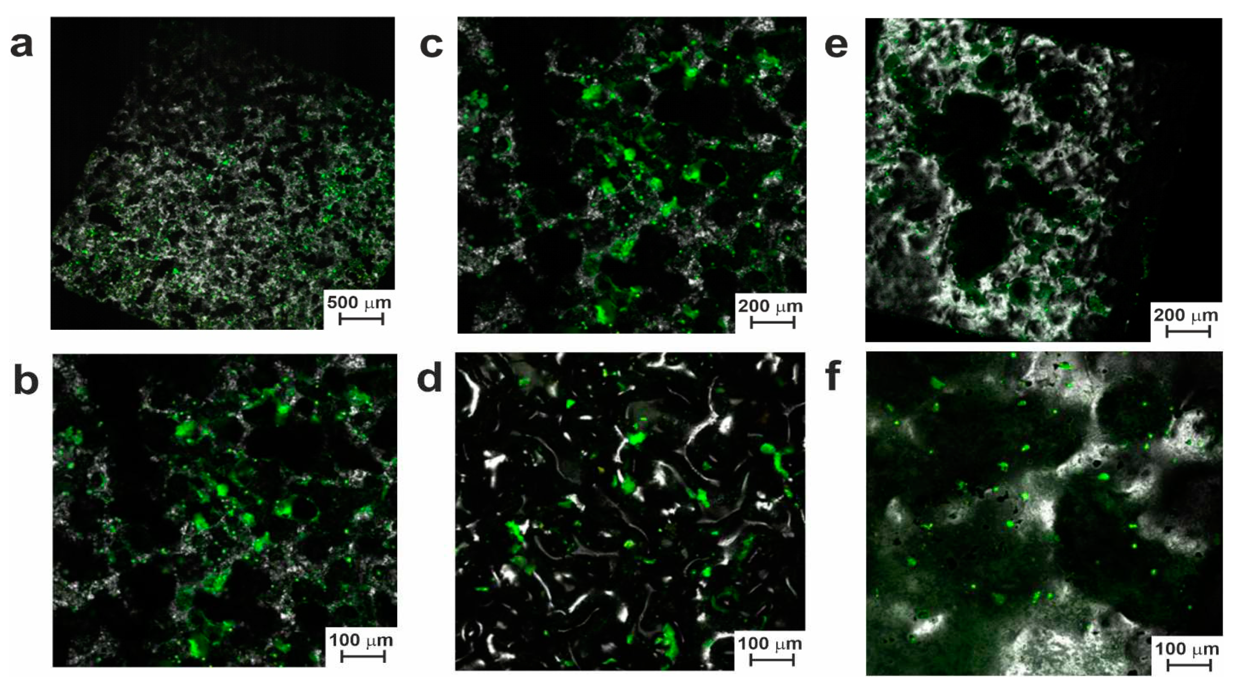 Preprints 71671 g012