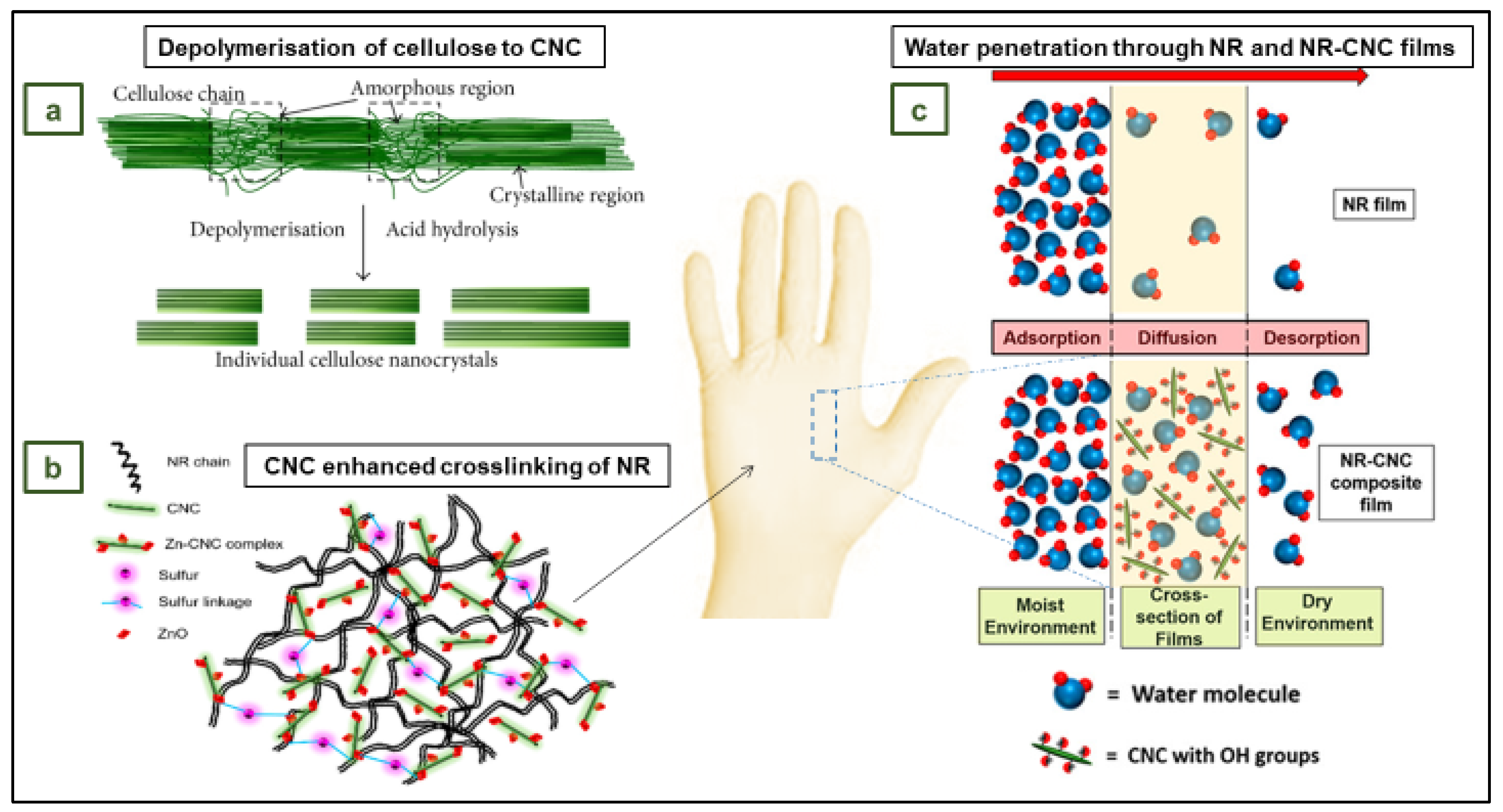 Preprints 75855 g012