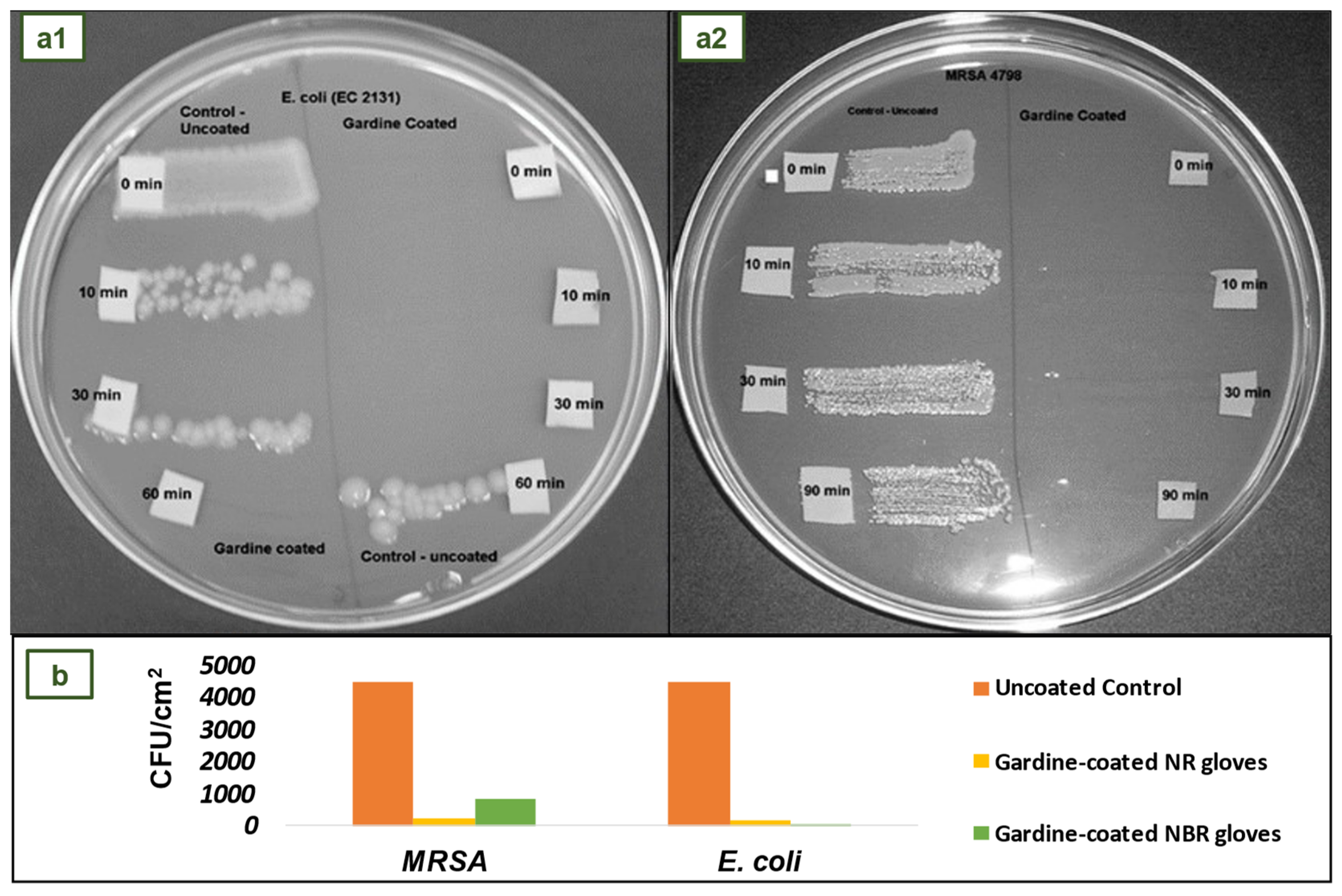 Preprints 75855 g013