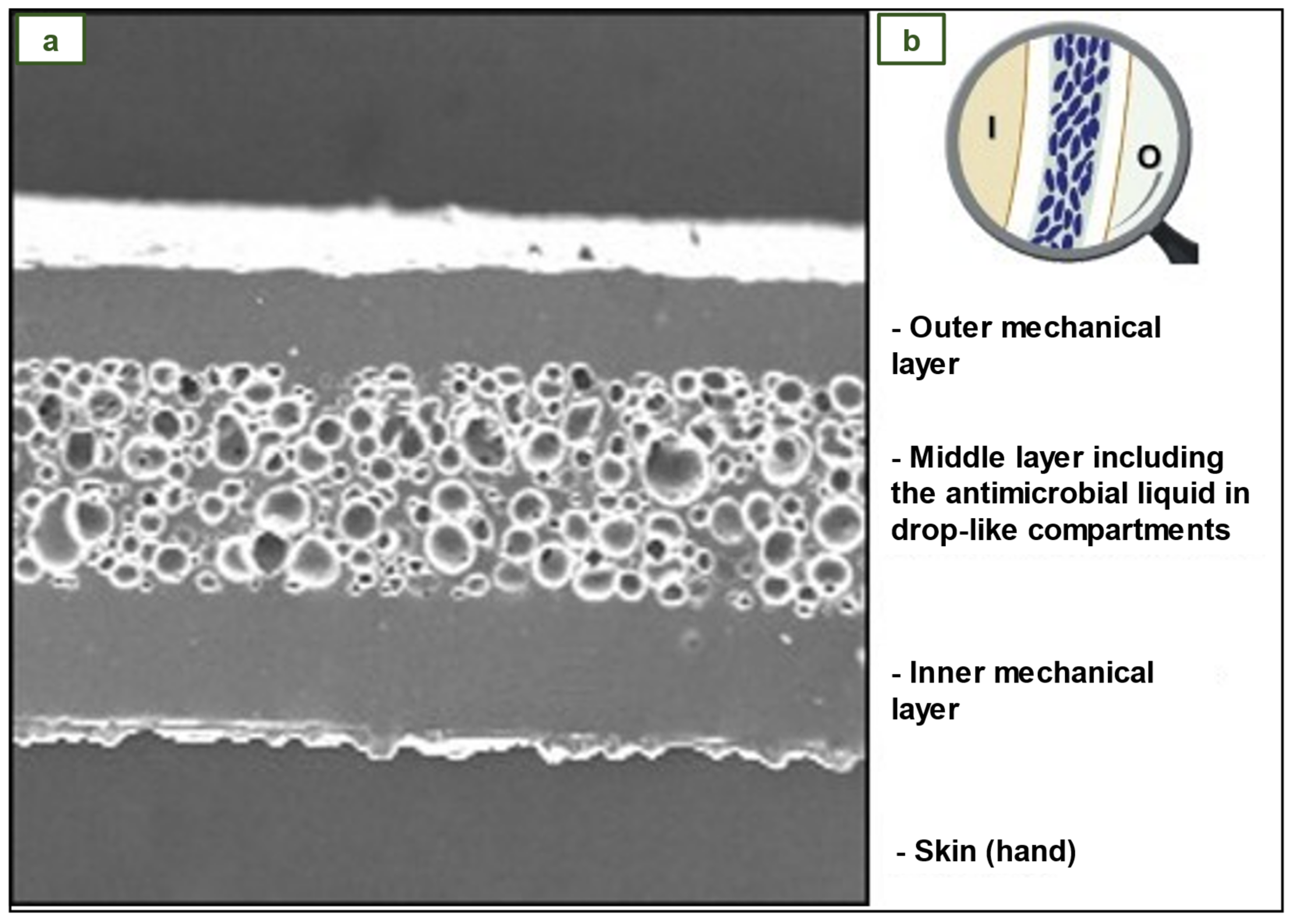 Preprints 75855 g015