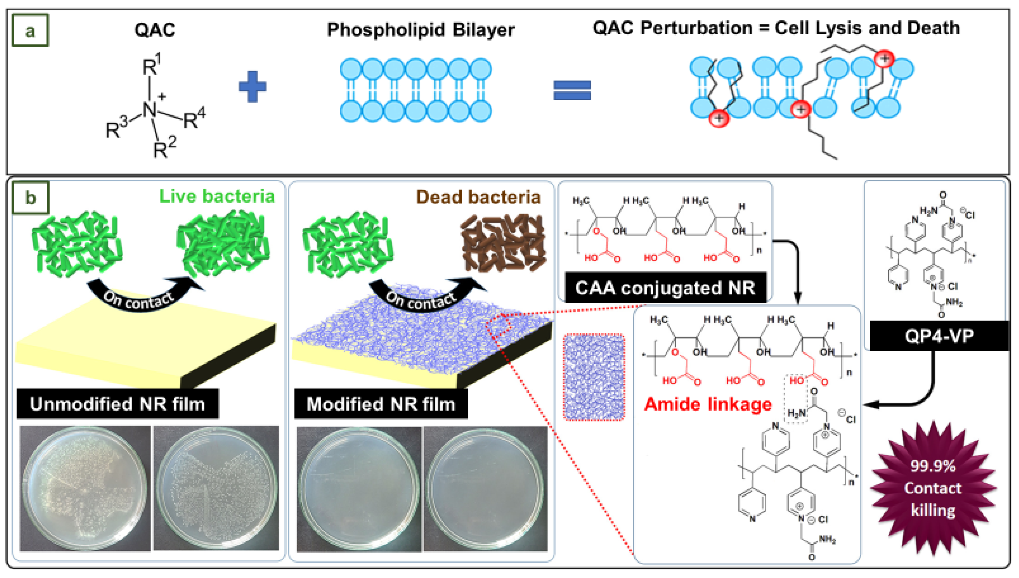 Preprints 75855 g016