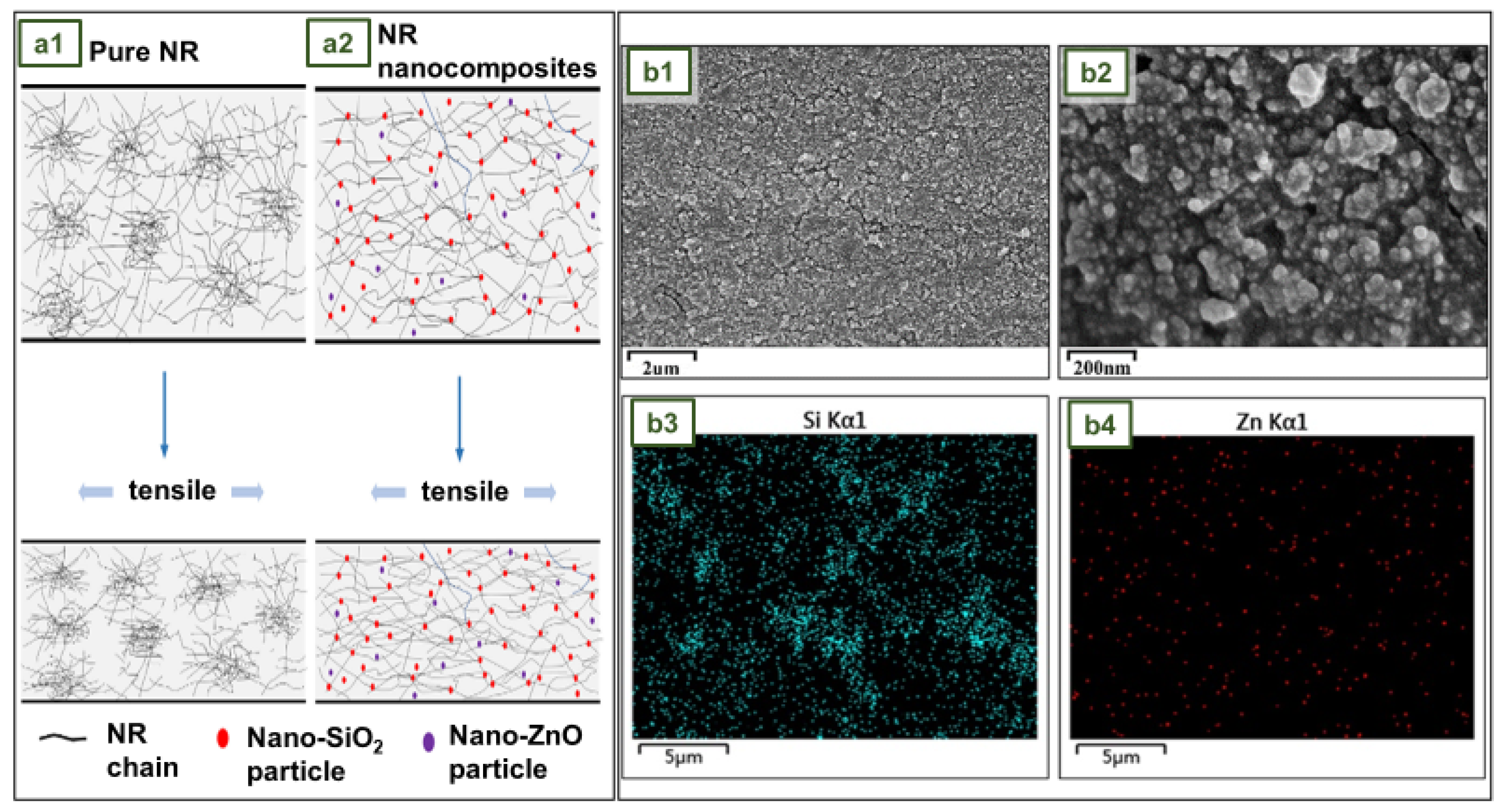 Preprints 75855 g017