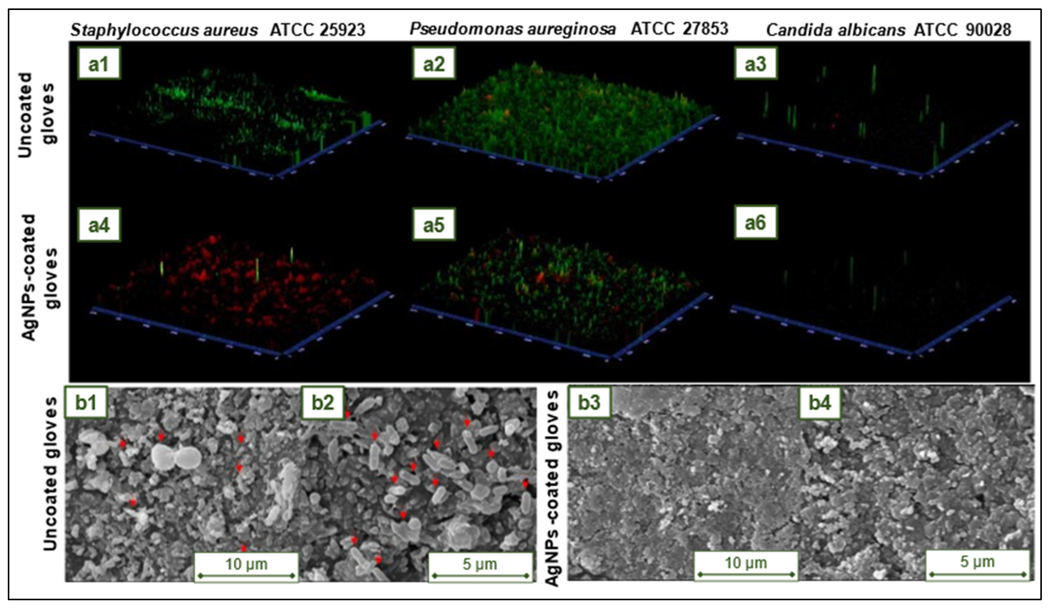 Preprints 75855 g018