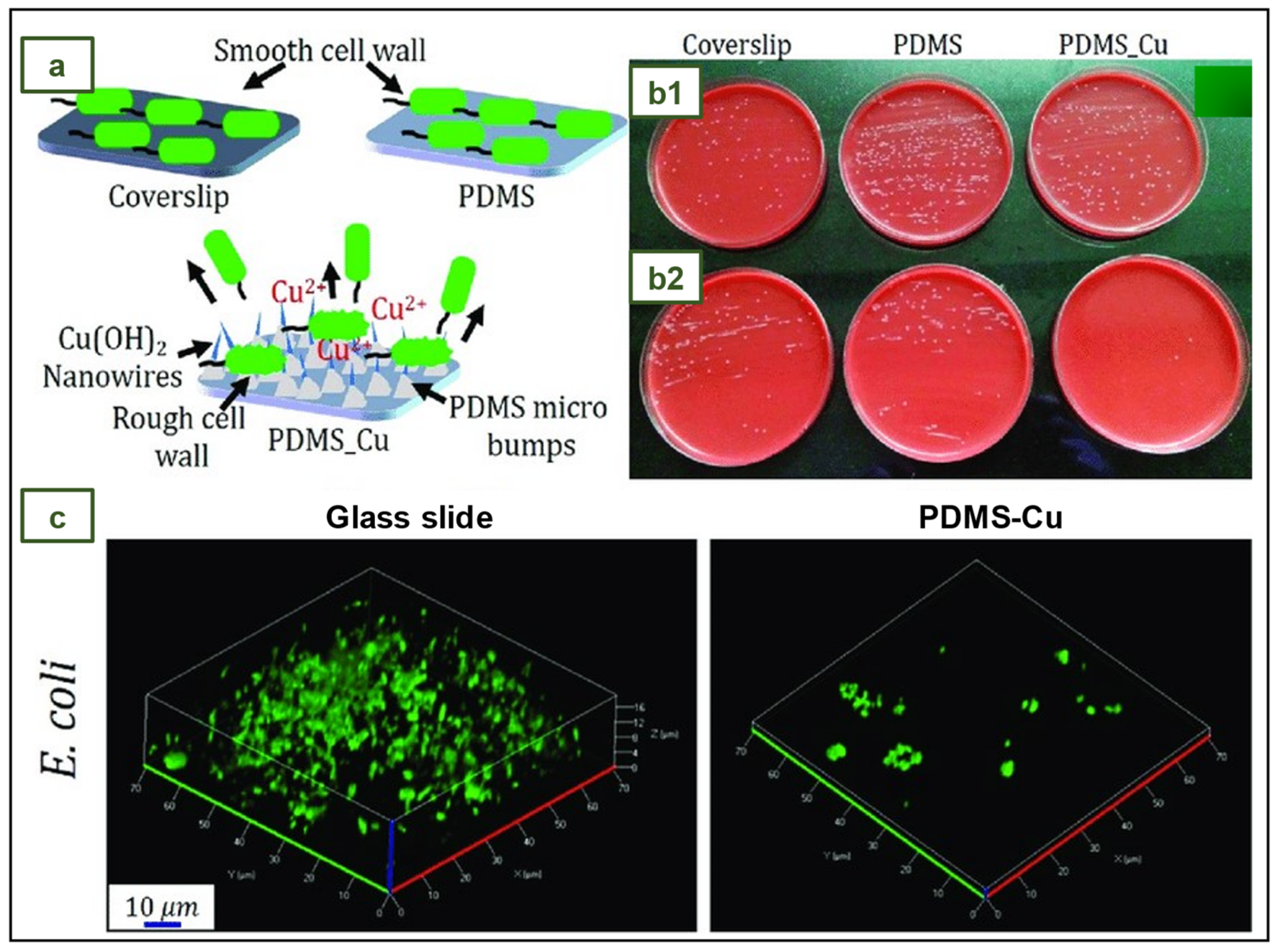 Preprints 75855 g019