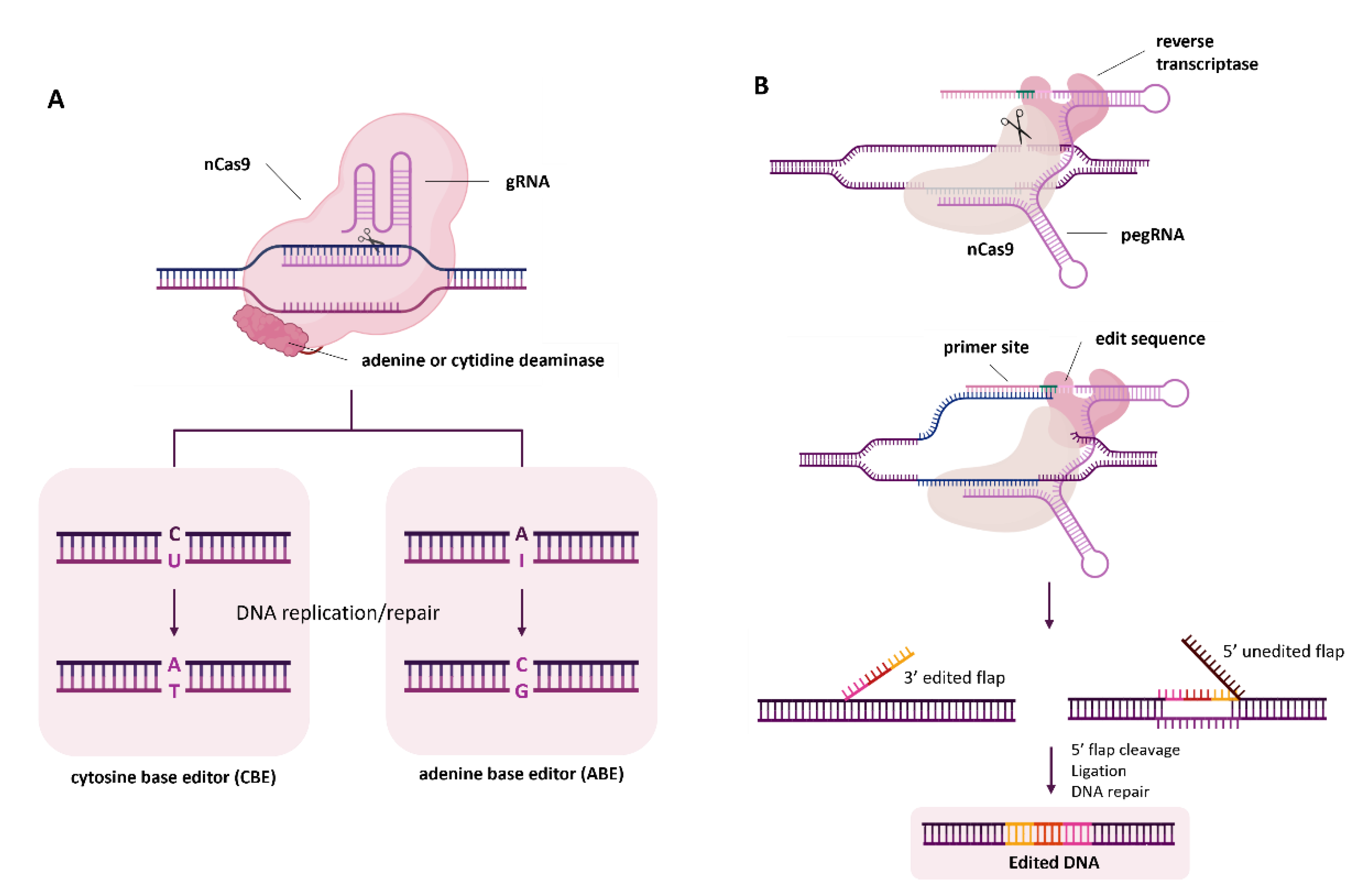 Preprints 195021 g002