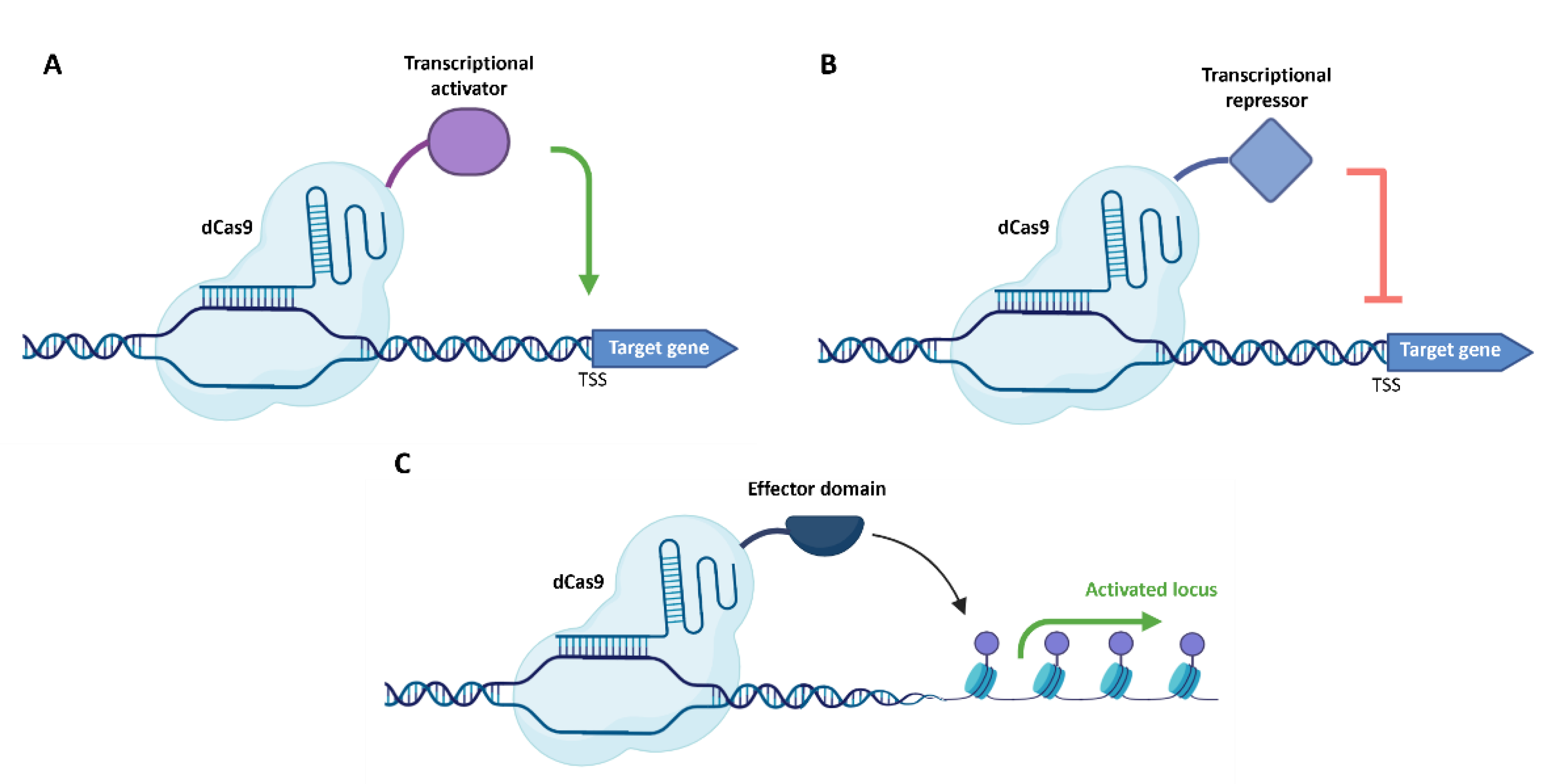 Preprints 195021 g003