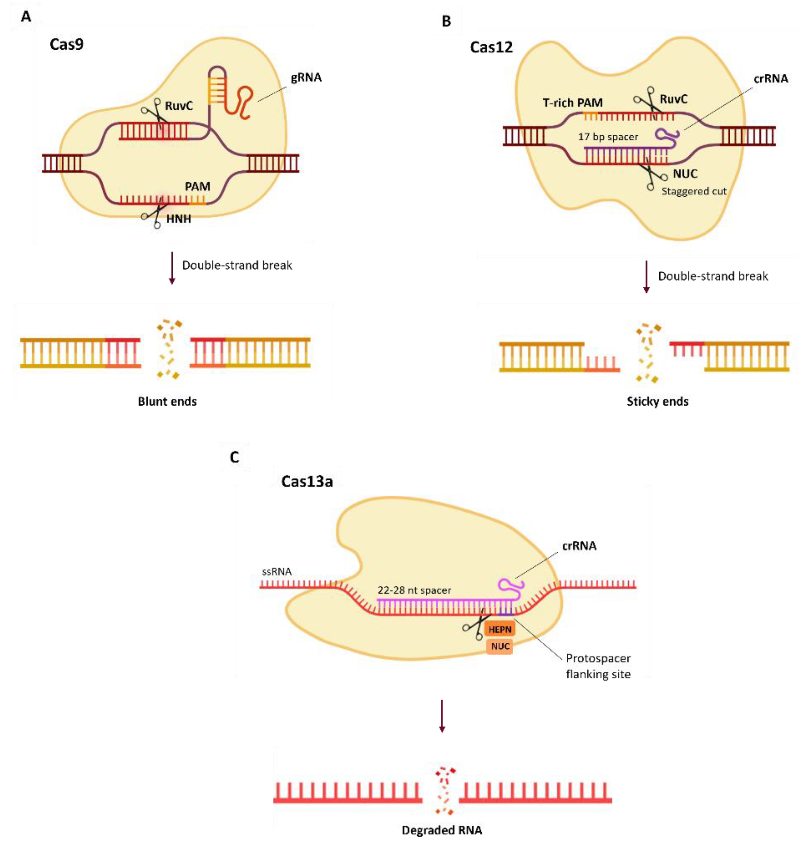 Preprints 195021 g004