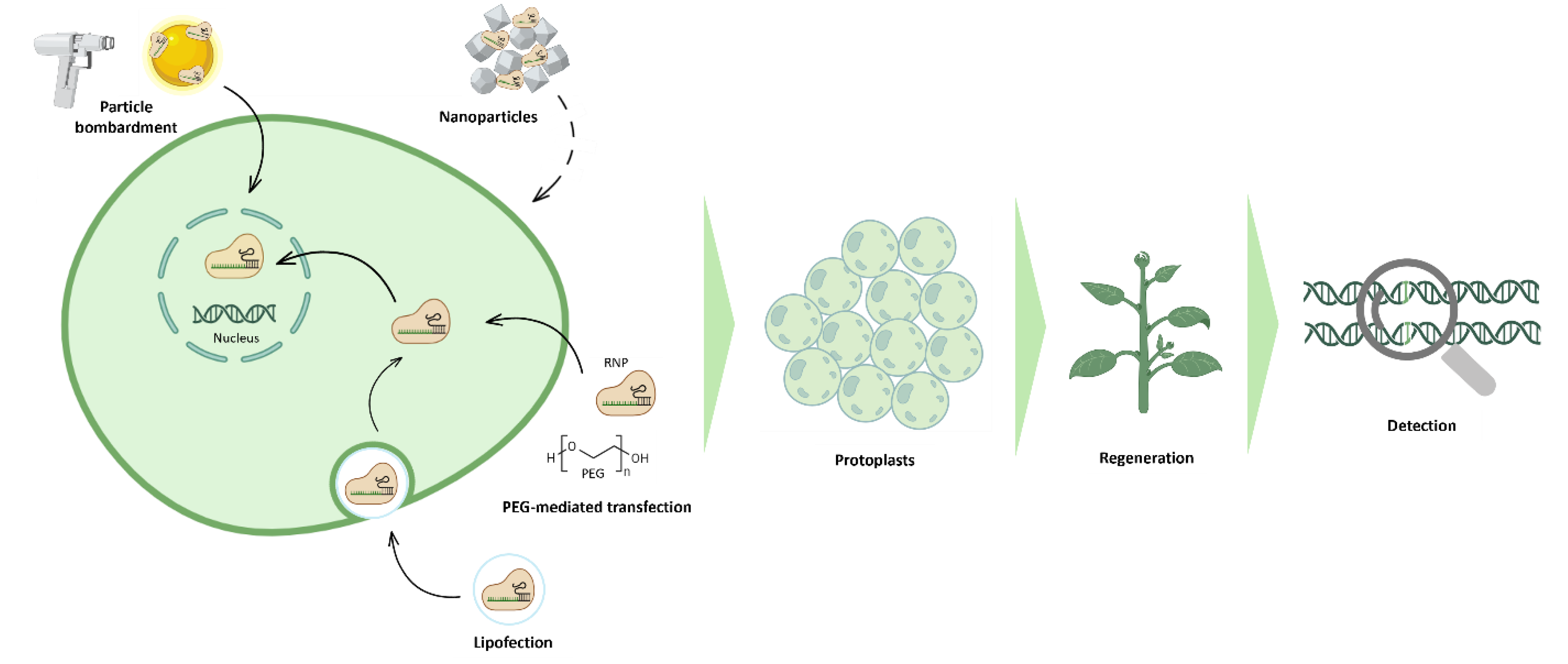 Preprints 195021 g005