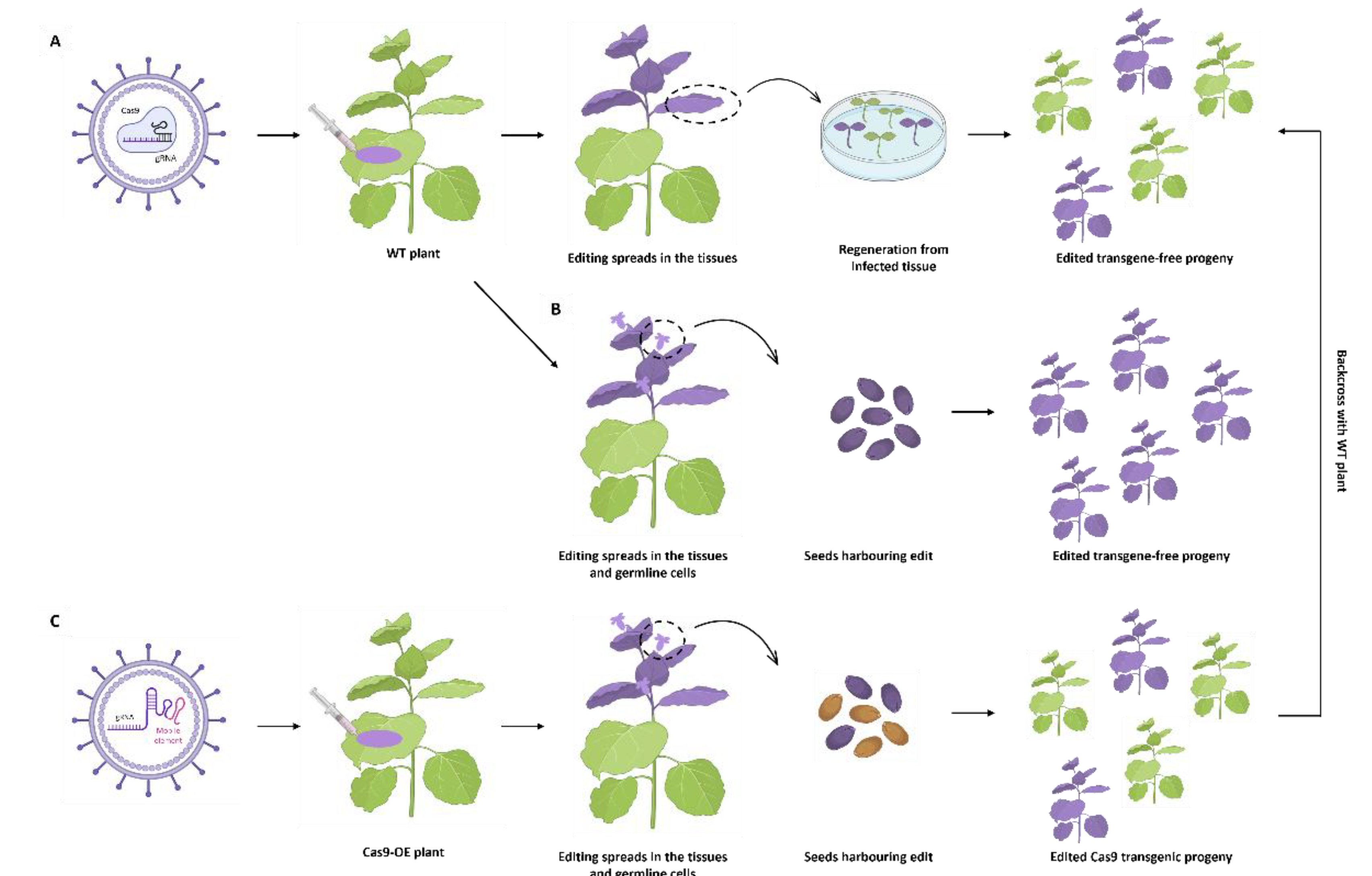 Preprints 195021 g006