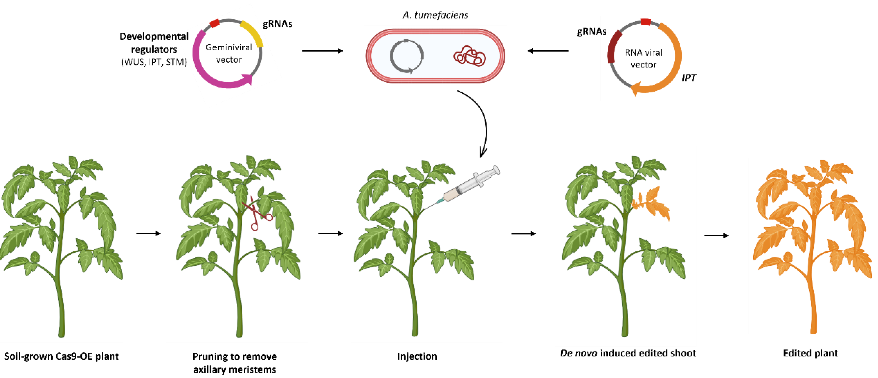 Preprints 195021 g007