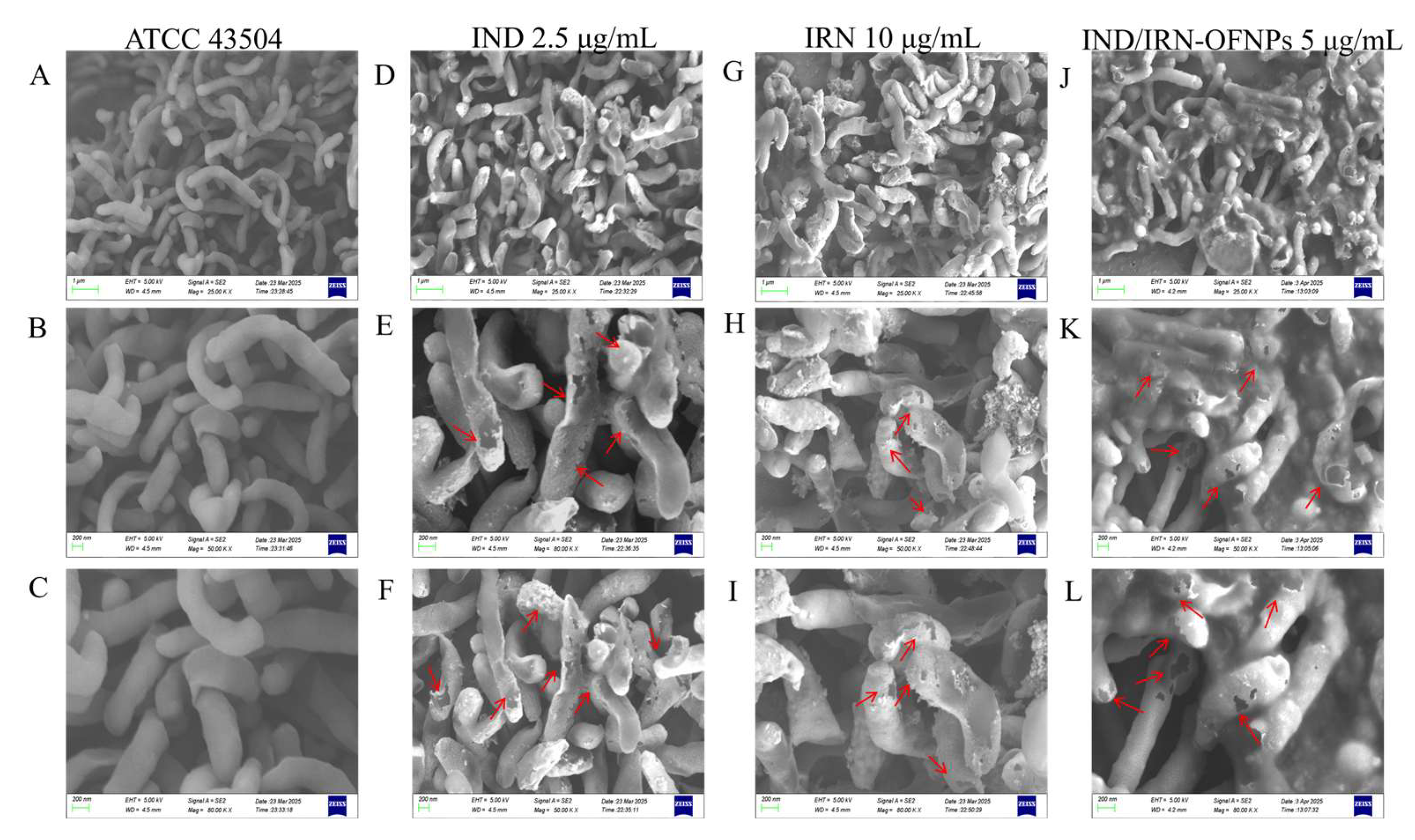 Preprints 179751 g006