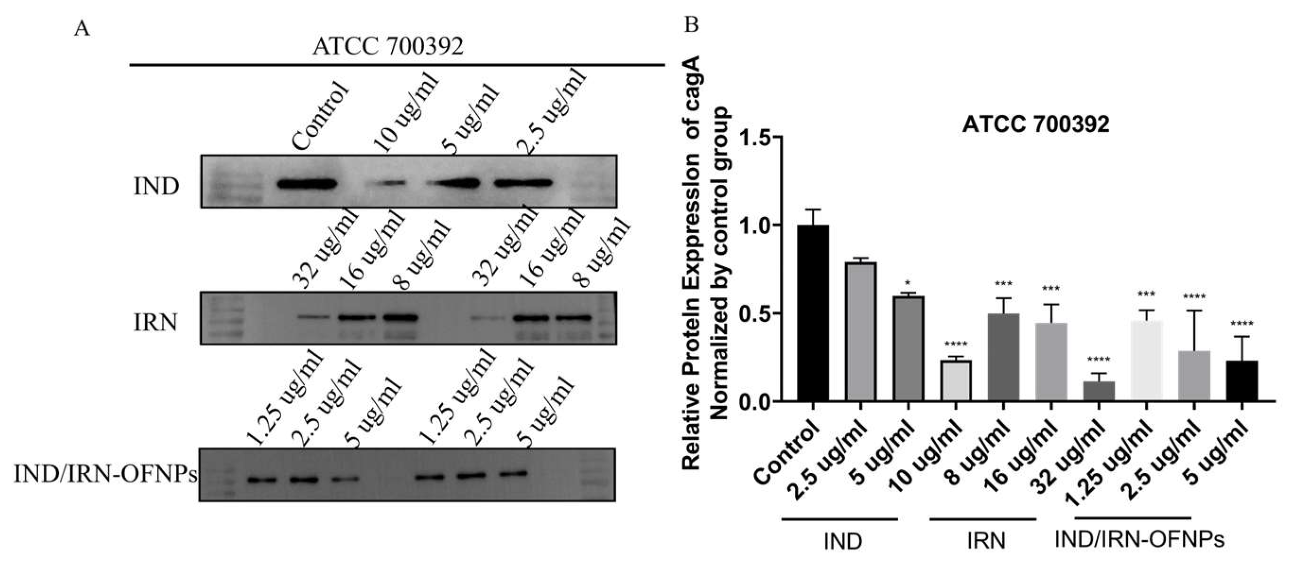 Preprints 179751 g015