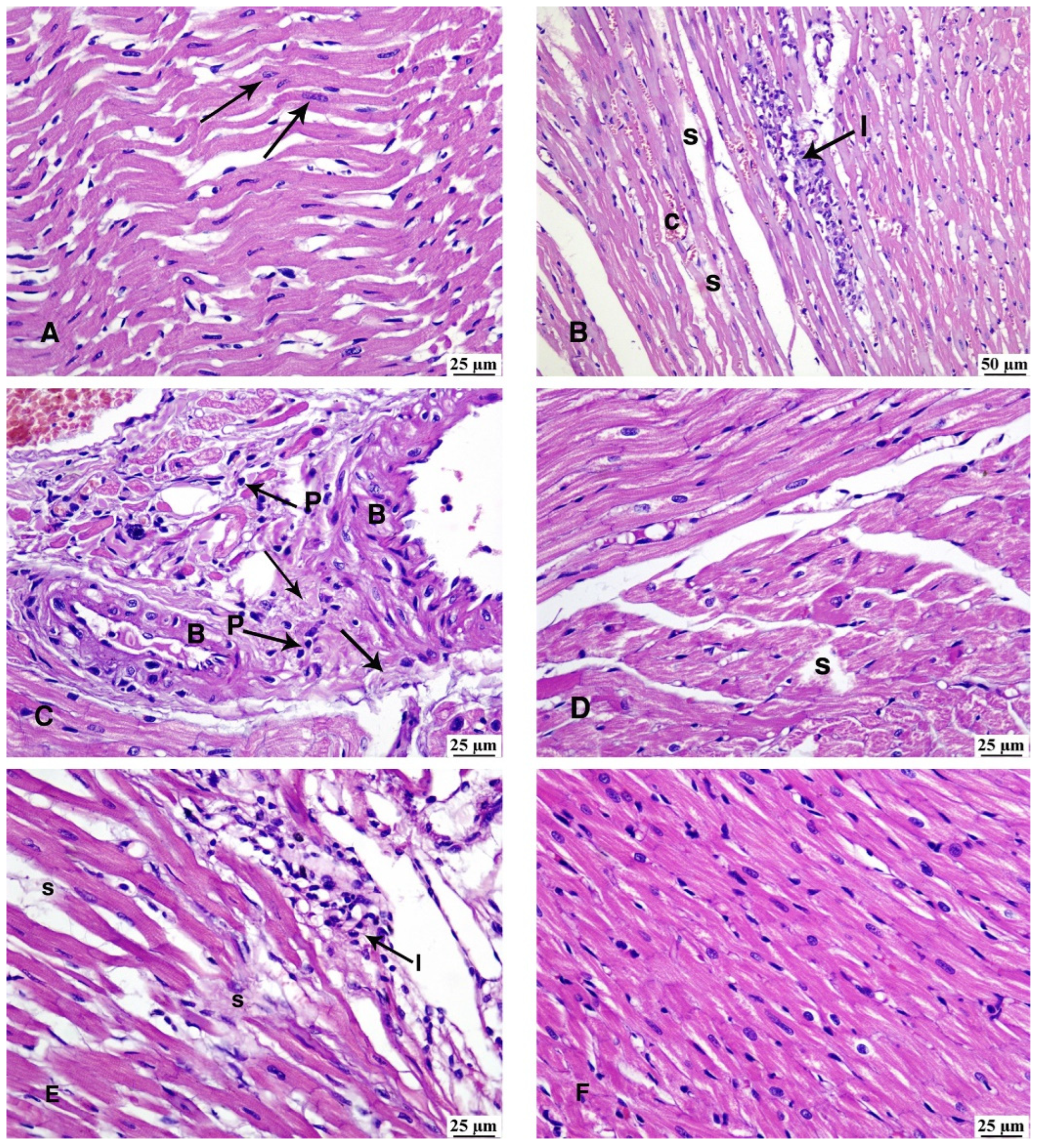 Preprints 107635 g004