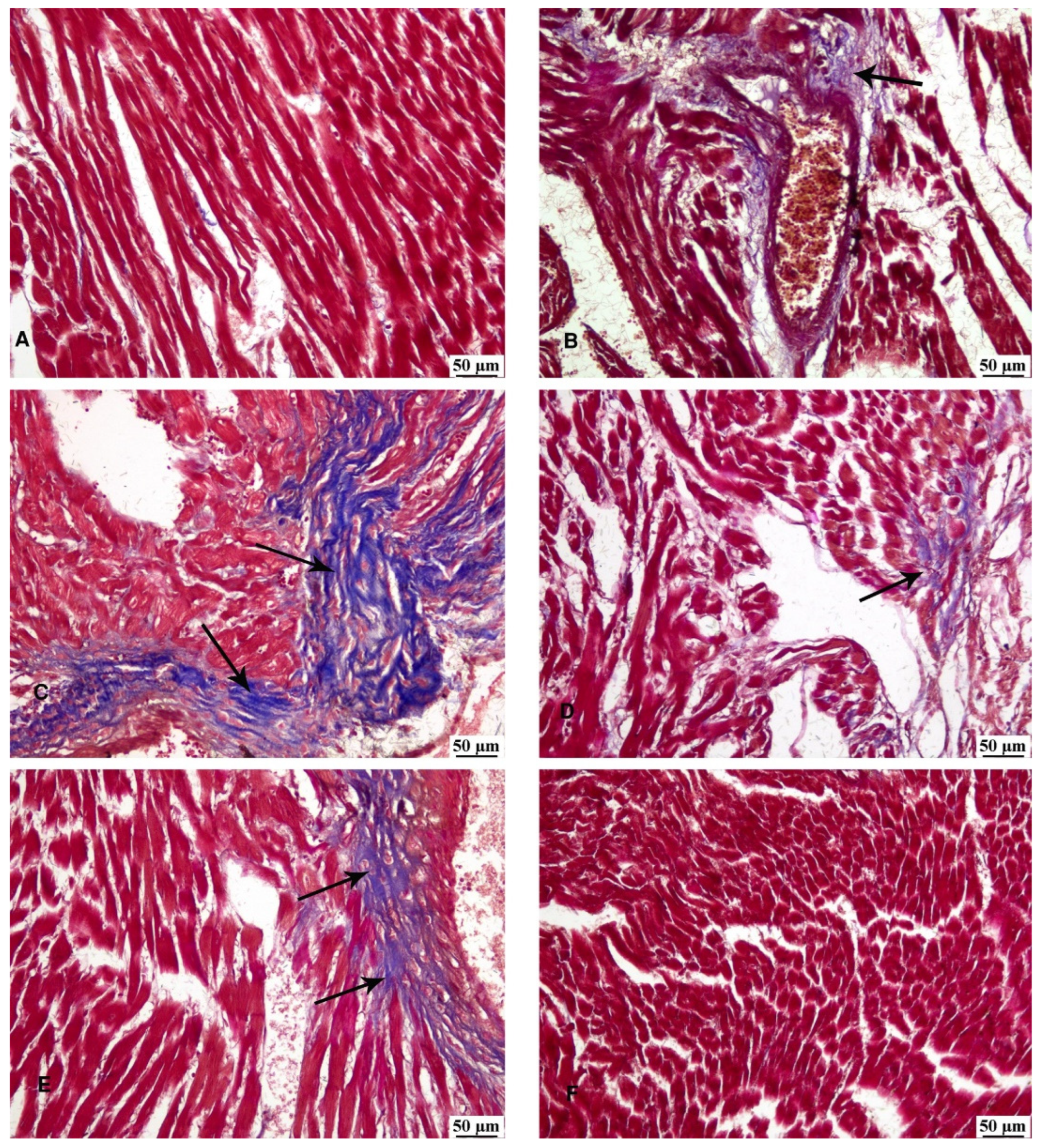Preprints 107635 g005