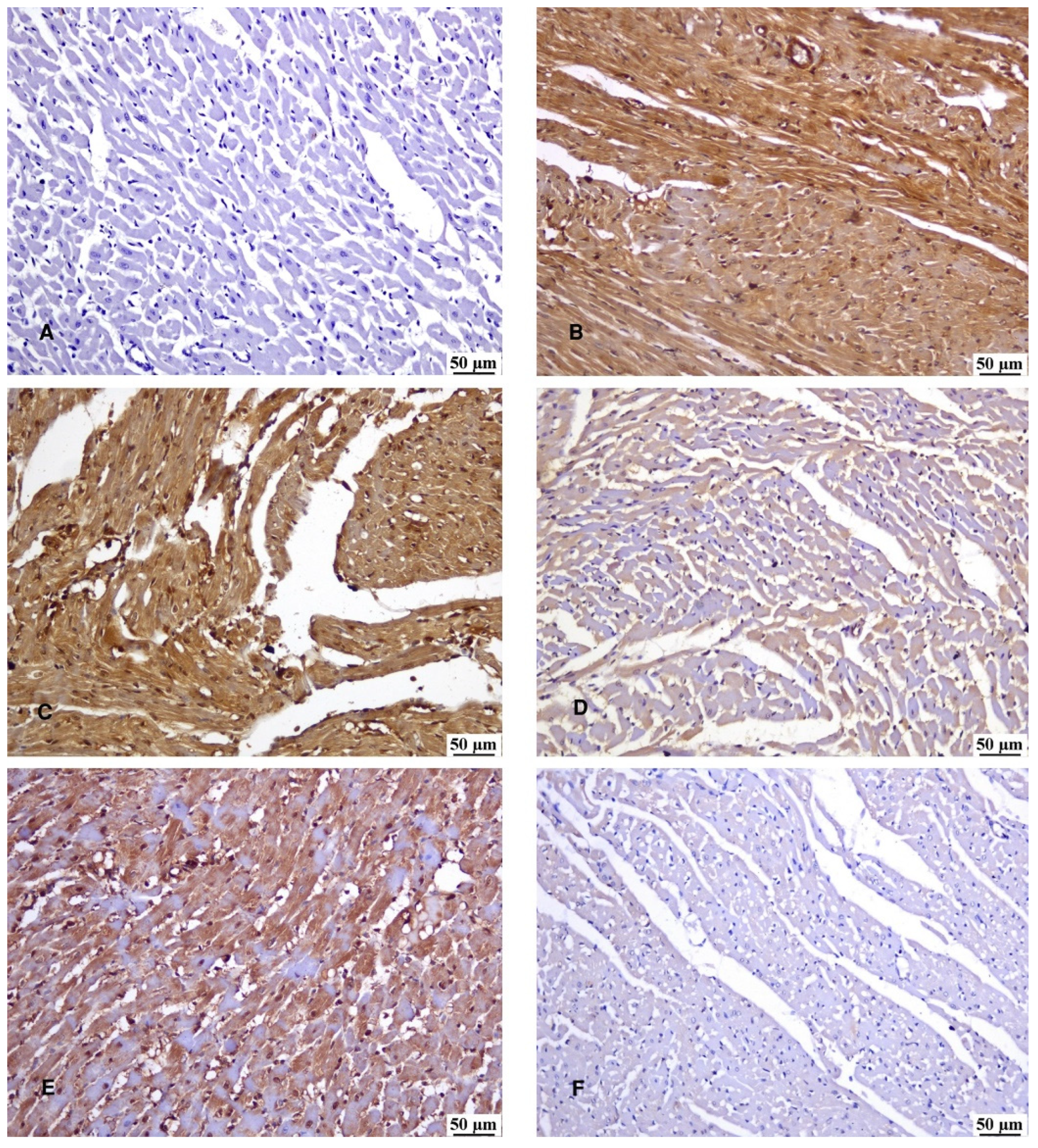 Preprints 107635 g006