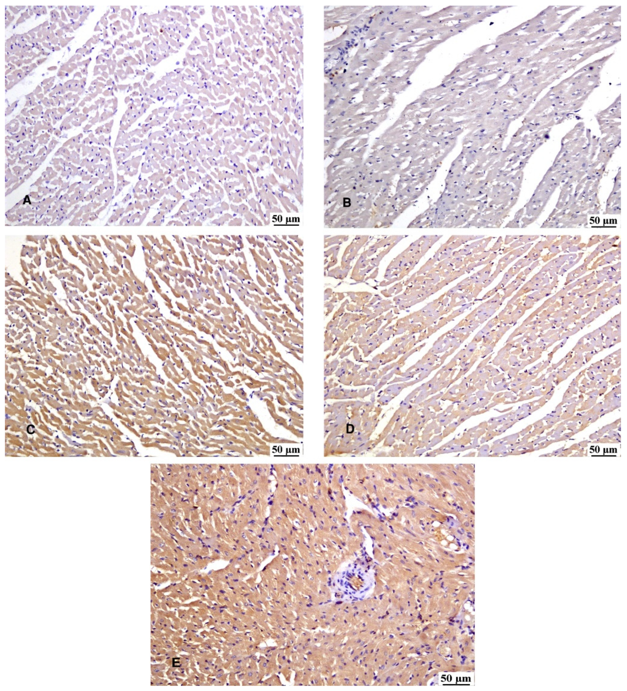 Preprints 107635 g007