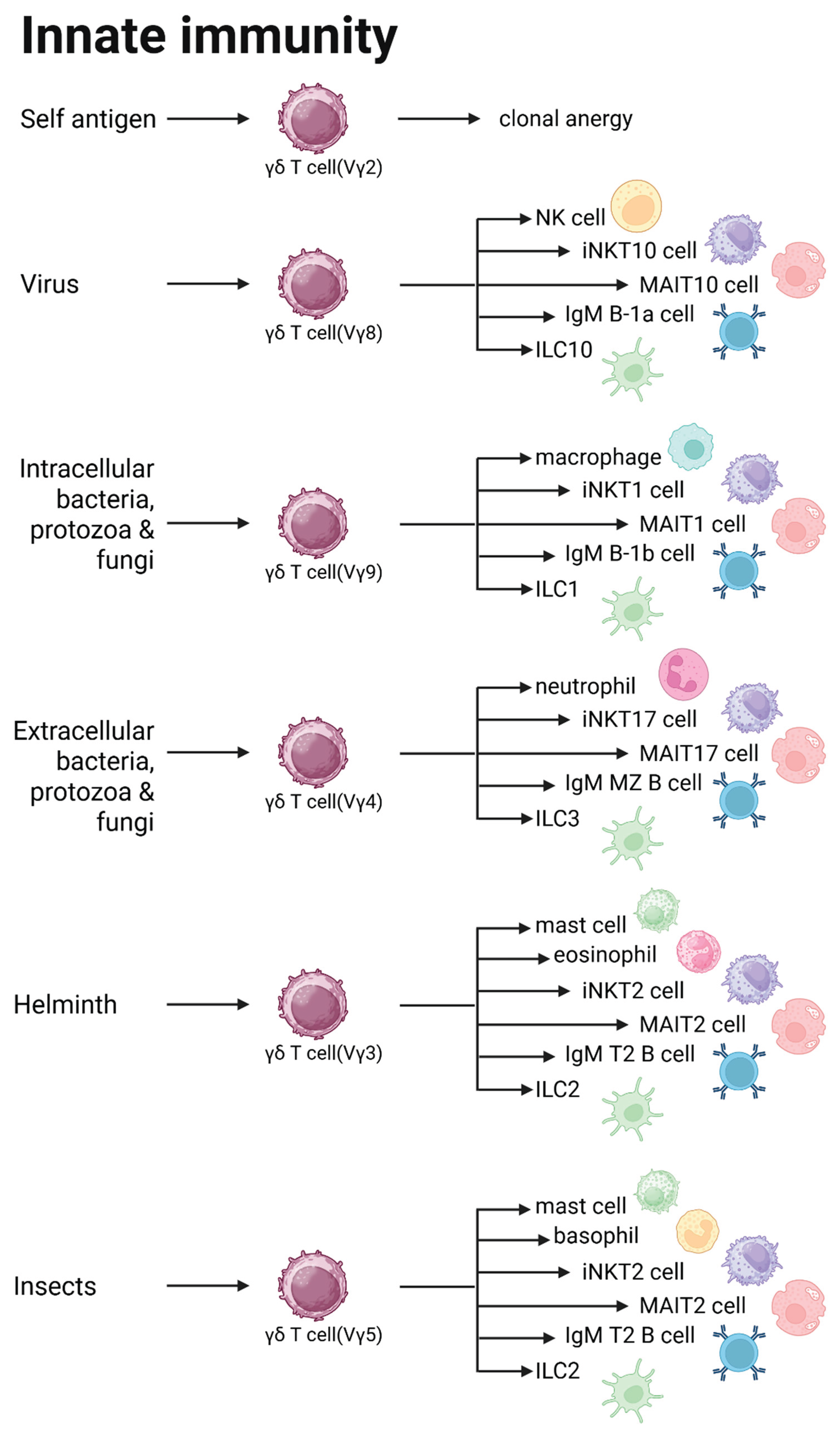 Preprints 197813 g001