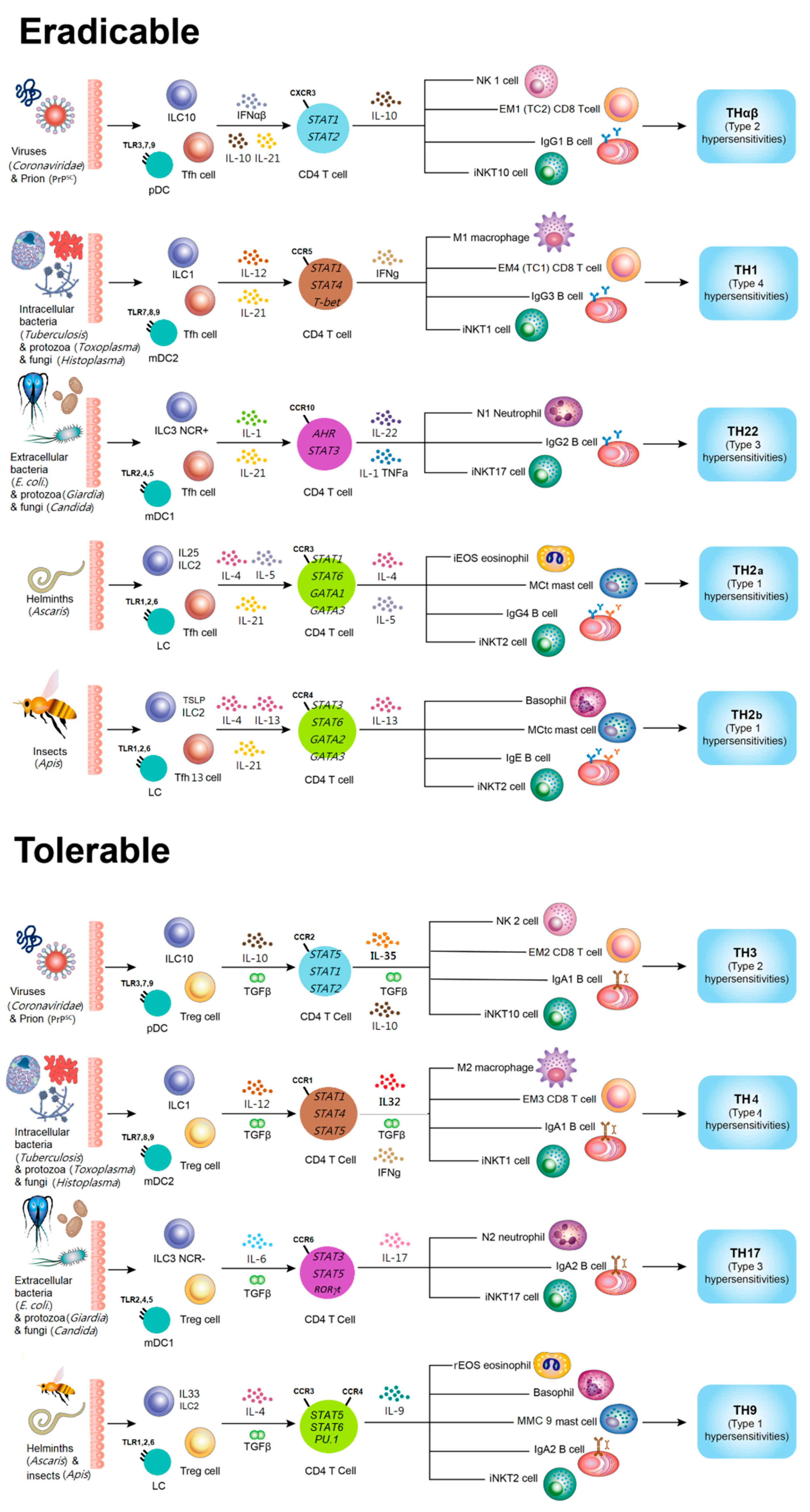 Preprints 197813 g002