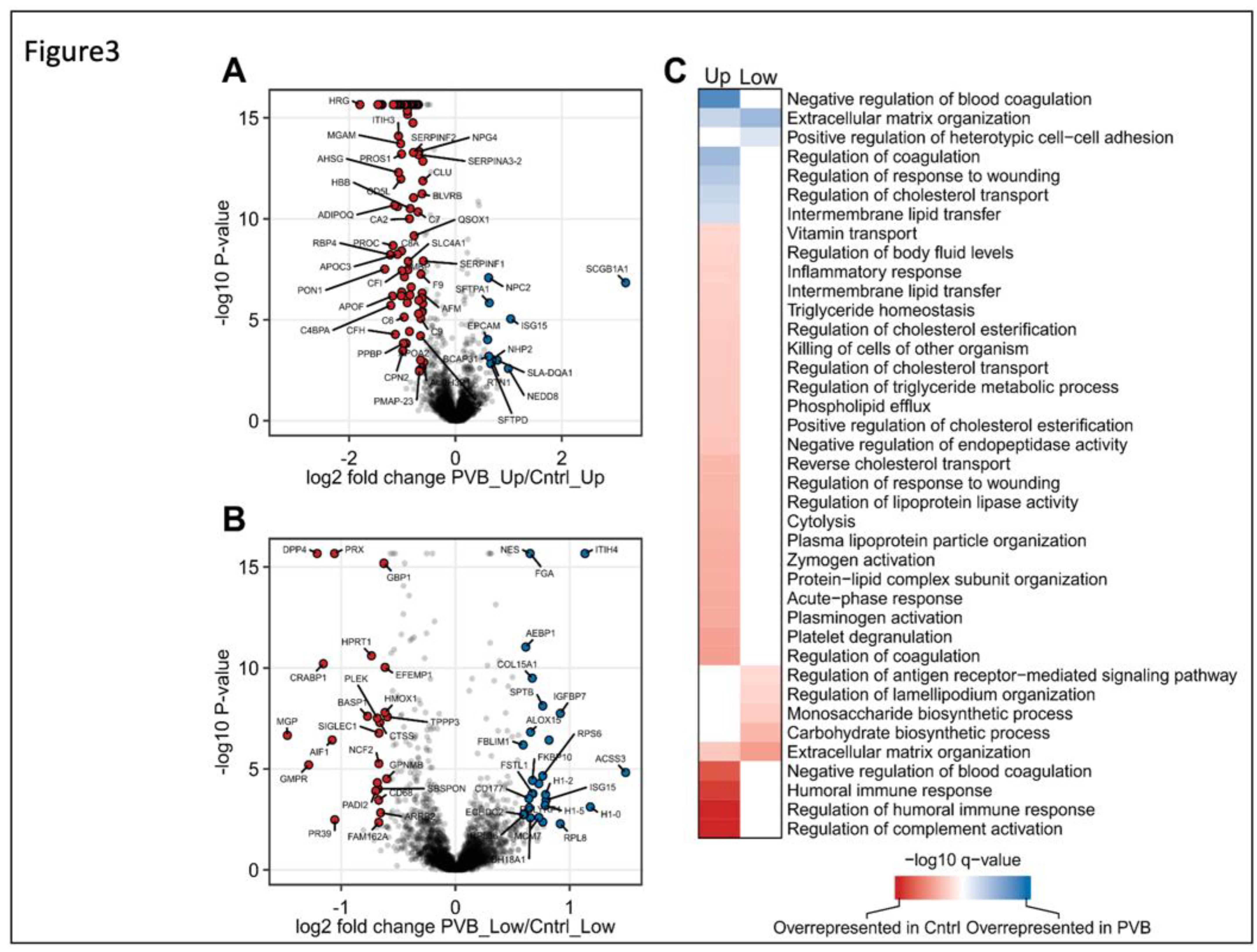 Preprints 66823 g003