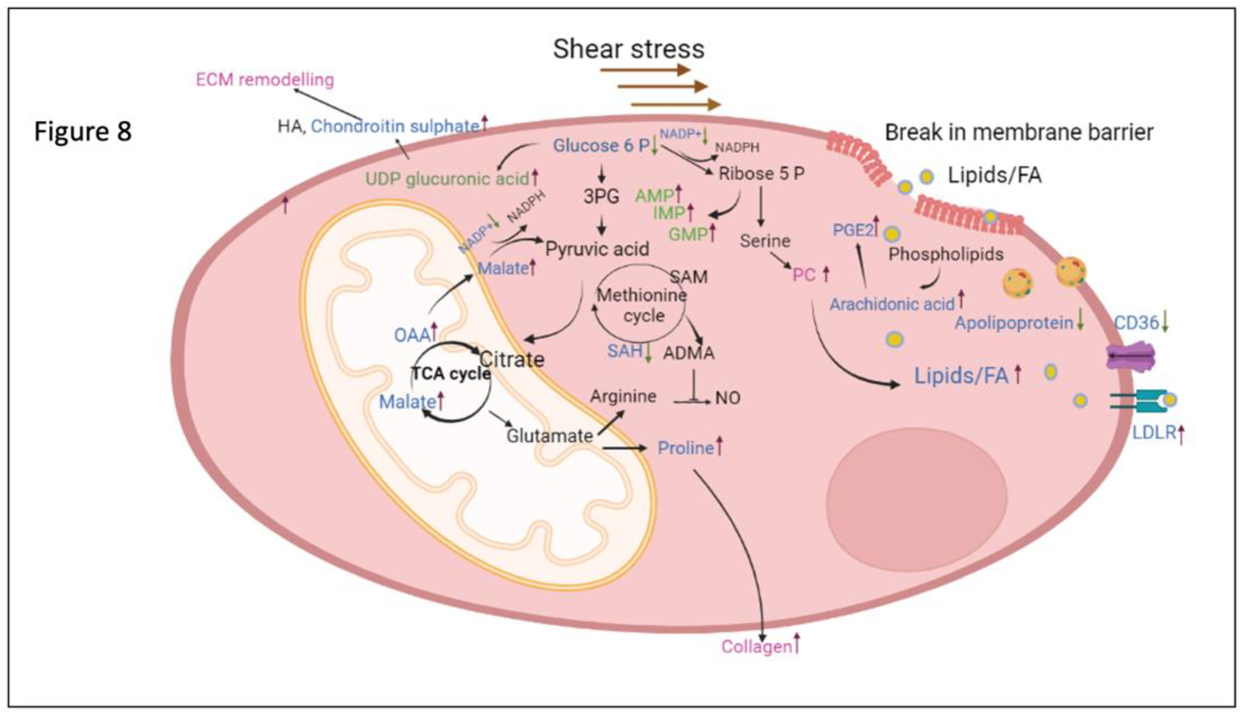 Preprints 66823 g008
