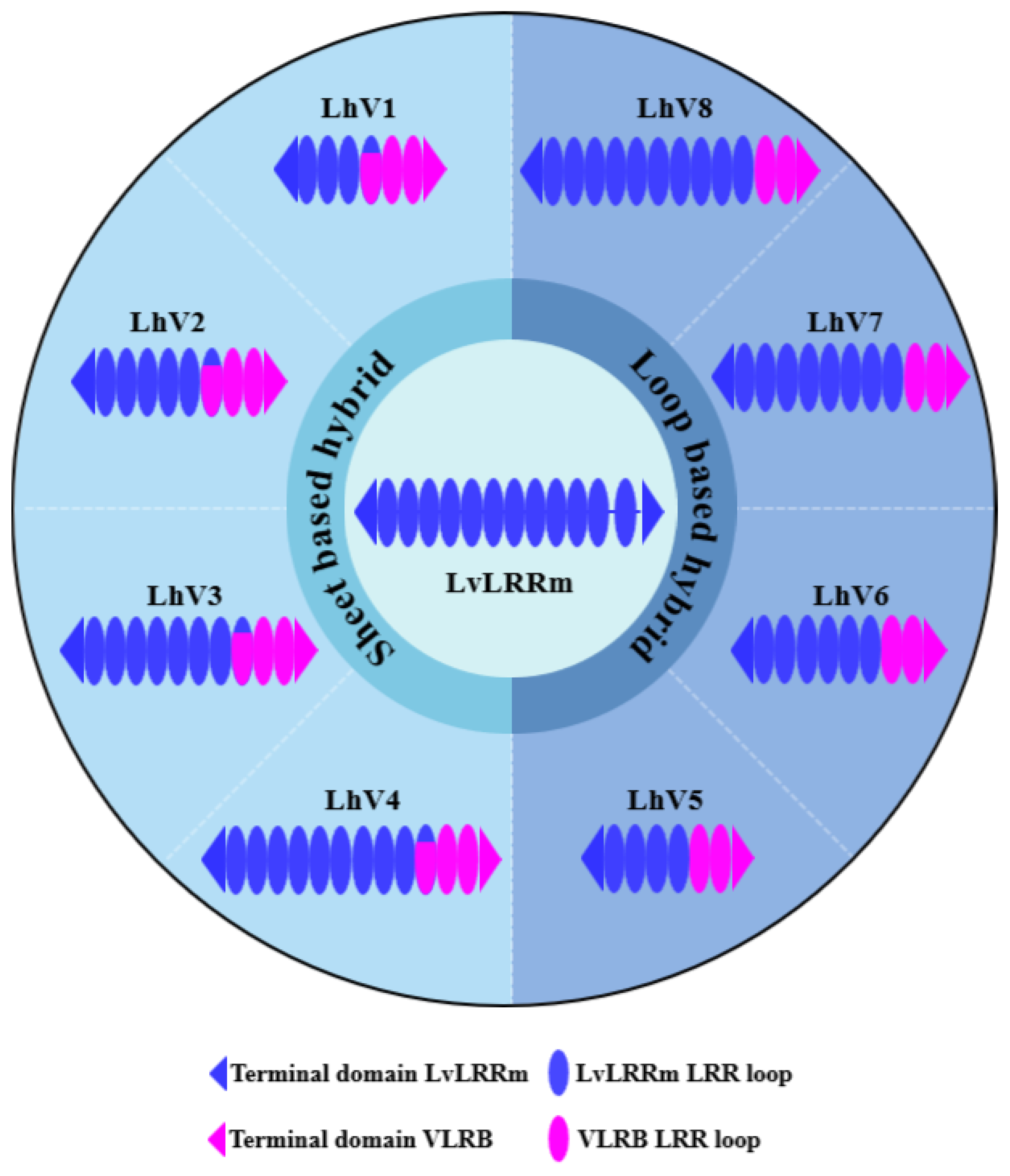 Preprints 87389 g001