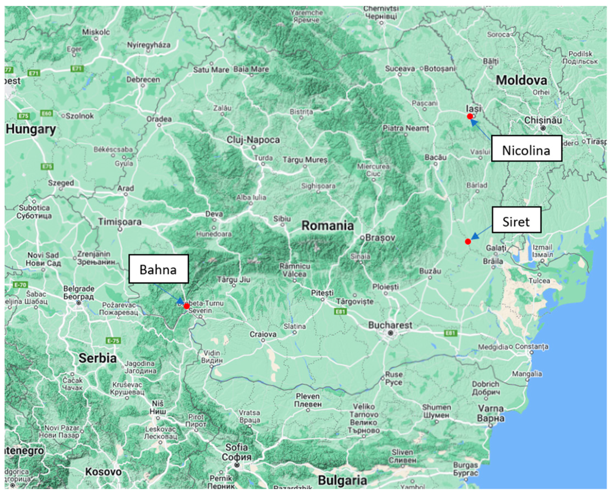 Preprints 99853 g003