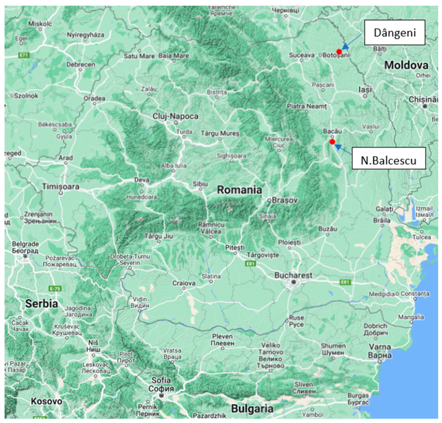 Preprints 99853 g006