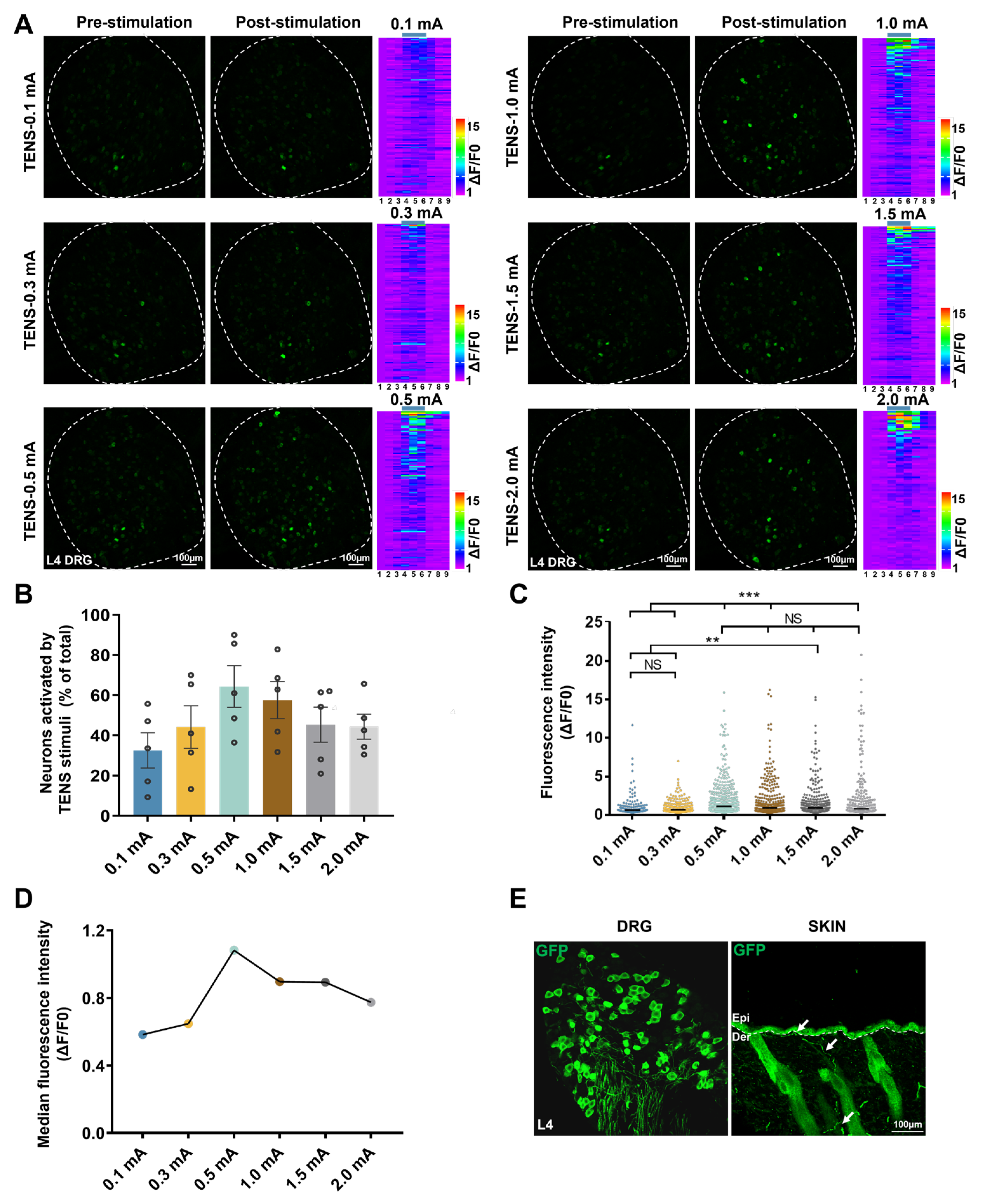 Preprints 195219 g003