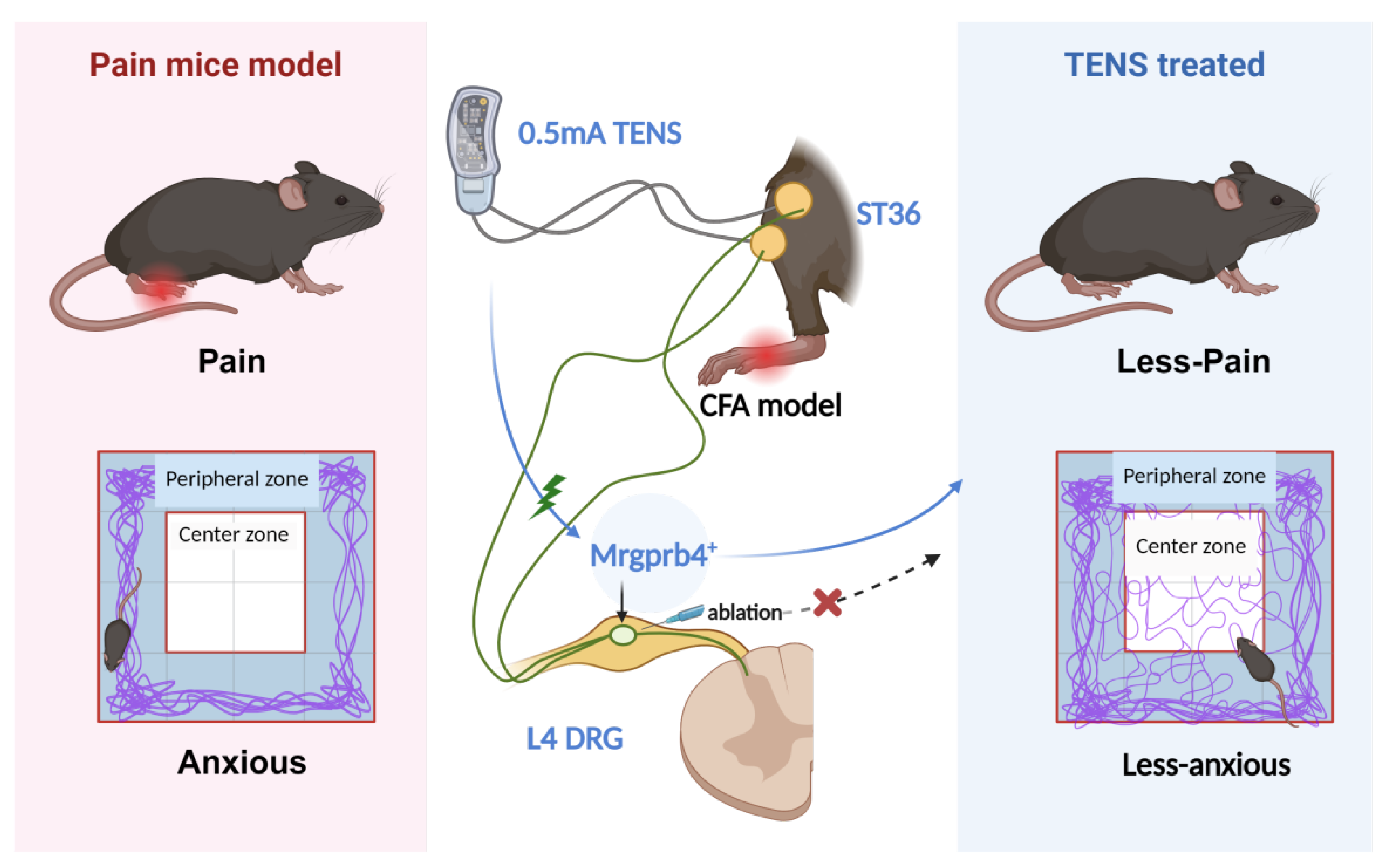 Preprints 195219 g008